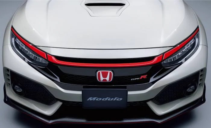 11th Gen Honda Civic Grille gap cover idea... 01-jpg-jpg