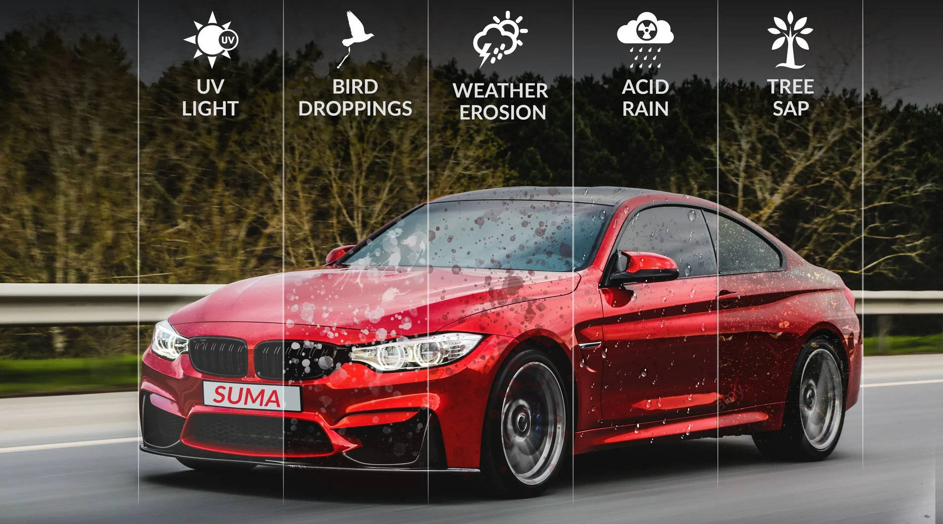 11th Gen Honda Civic 20% OFF SUMA Nano Sealant 1 (1)