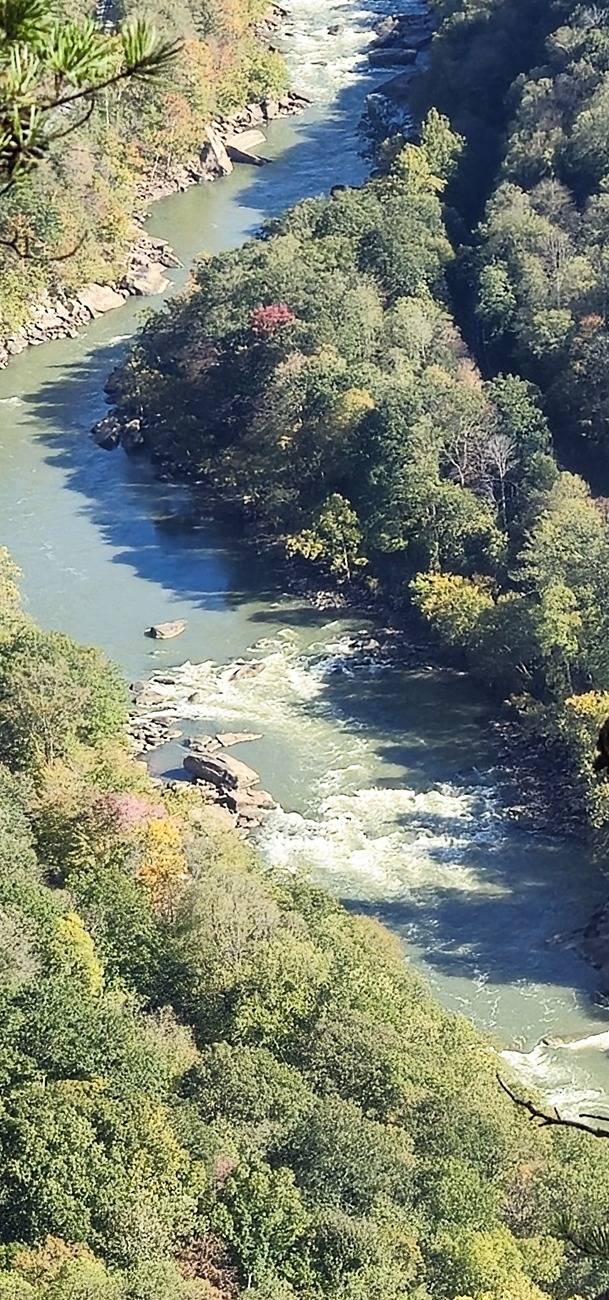 11th Gen Honda Civic What did you do to your FL5 today? 1000002346