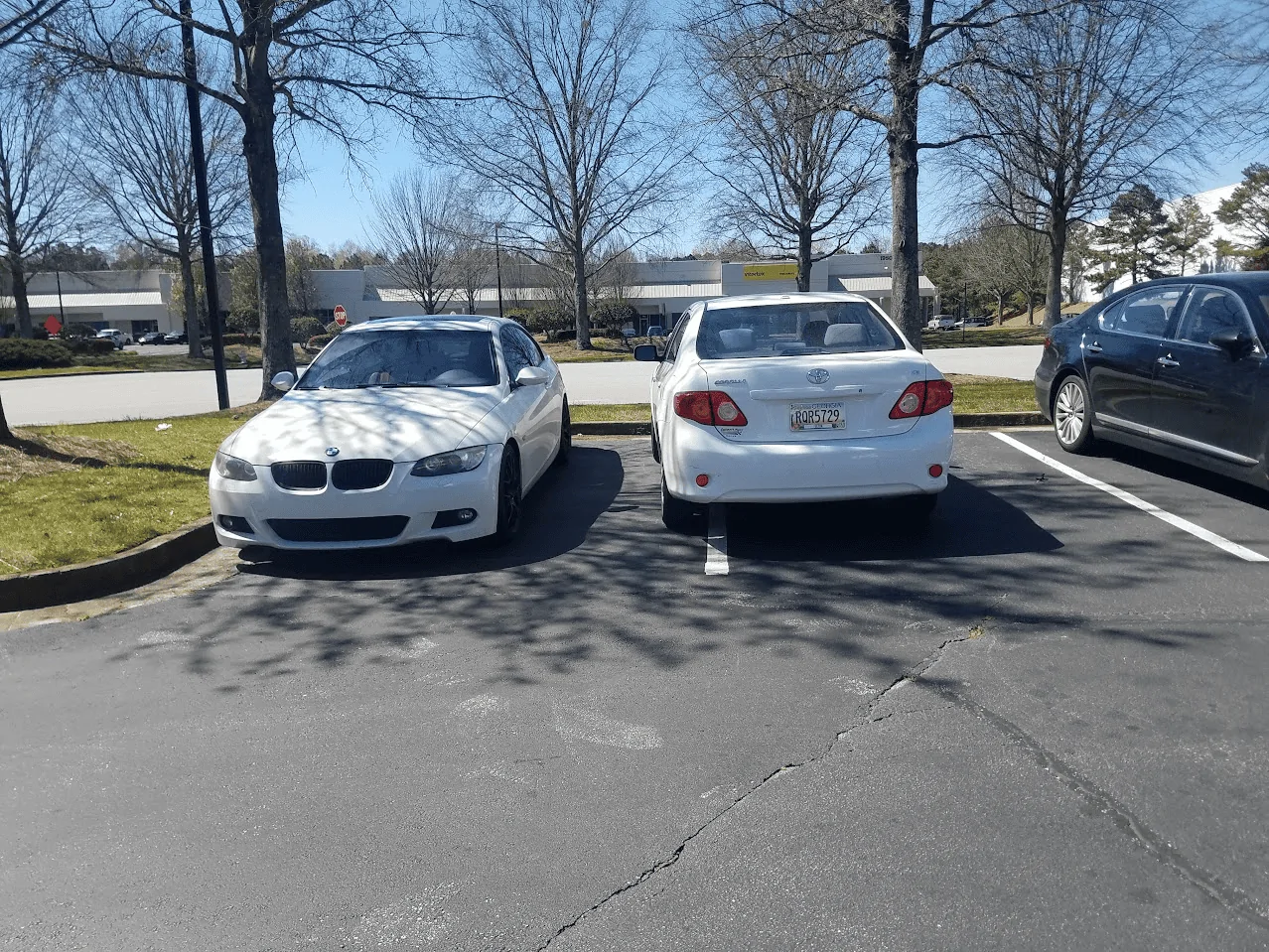 11th Gen Honda Civic I’ll just park next to you thank you 1000003331