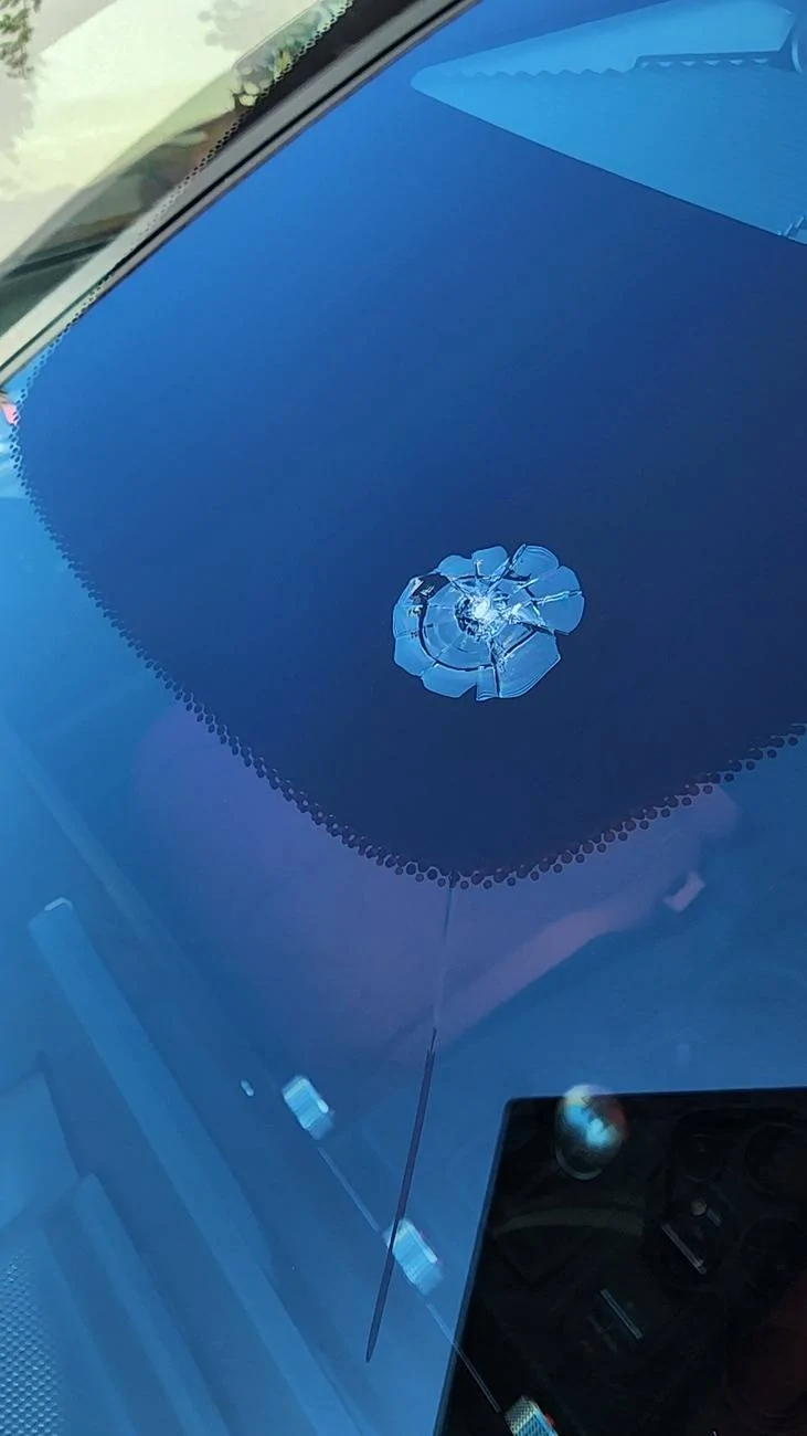 11th Gen Honda Civic What did you do to your FL5 today? 1000021142