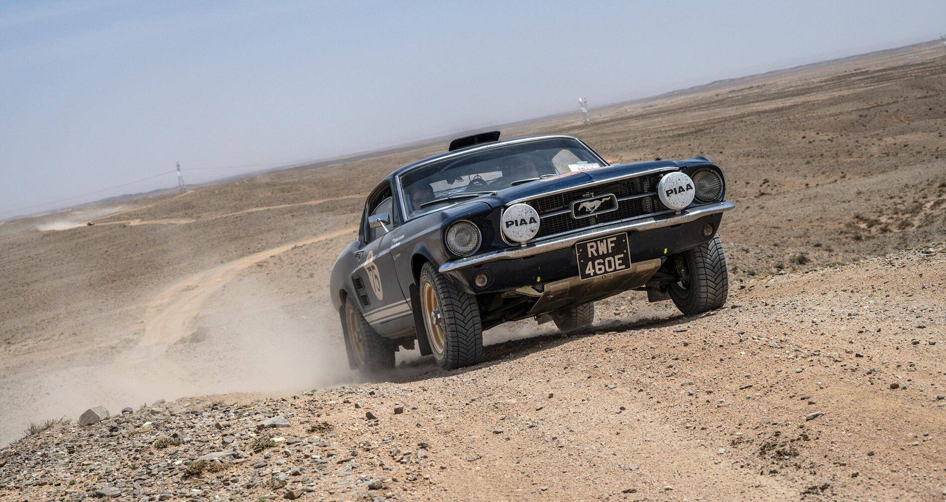 11th Gen Honda Civic Civic Unslammed.  FORMERLY:  Weirdo 2025 Type R Noob wants to INCREASE ground clearance. 1740947003573-w