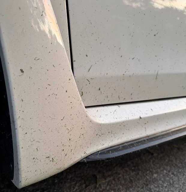 11th Gen Honda Civic What did you do to your FL5 today? 1747012935427-um