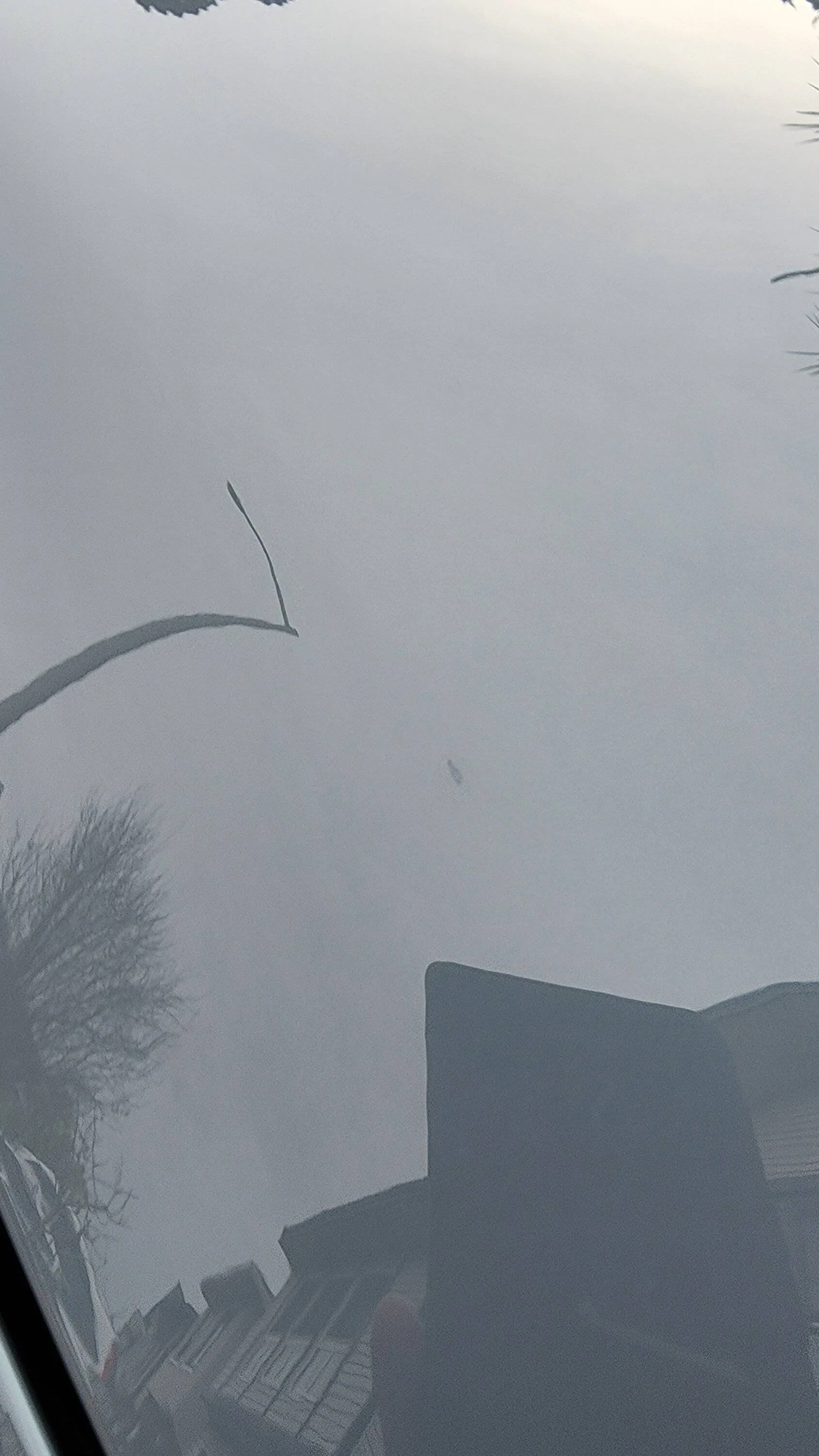 11th Gen Honda Civic FL5 Paint Quality 20230108_155323