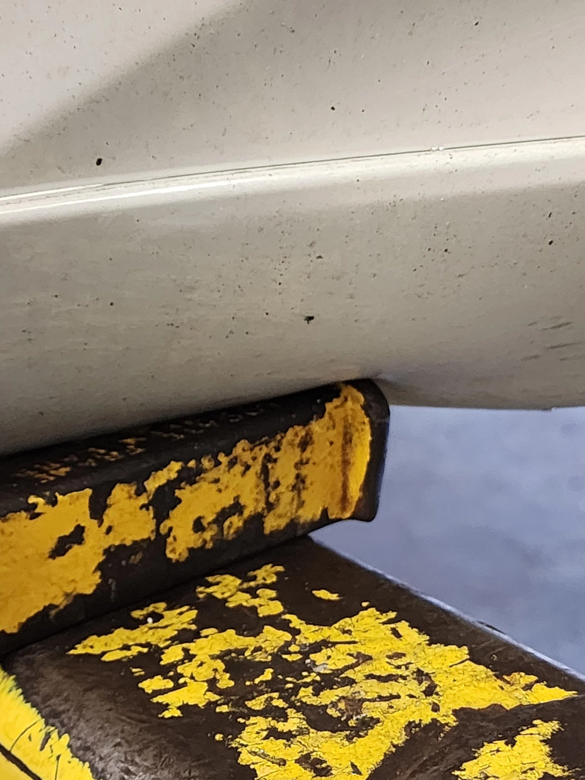 11th Gen Honda Civic PPF was supposed to minimize chips 20230311_103341