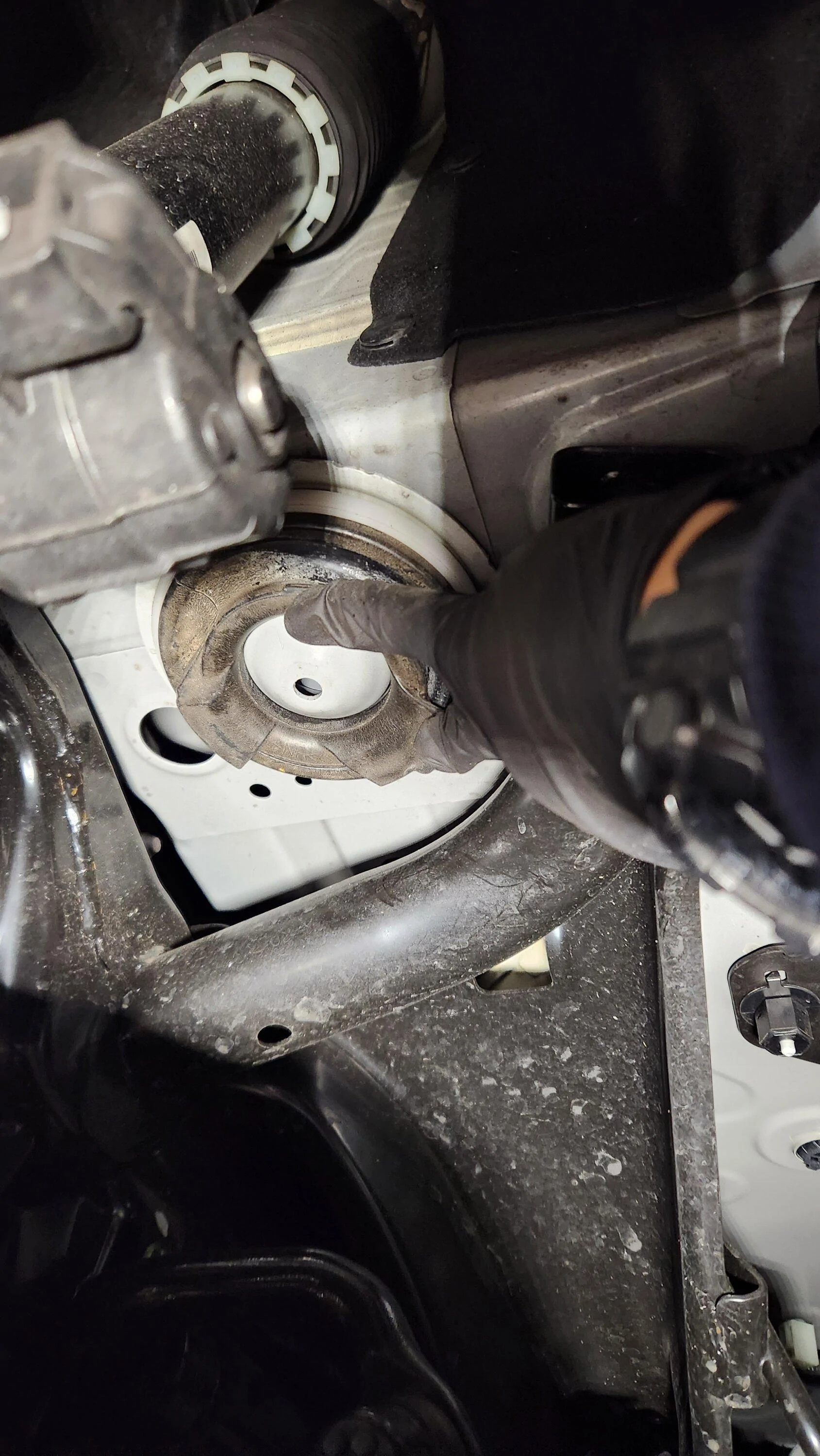 11th Gen Honda Civic 🚀 tezzasaurusrex - Time Attack FL5 Build Journal 20230627_174558