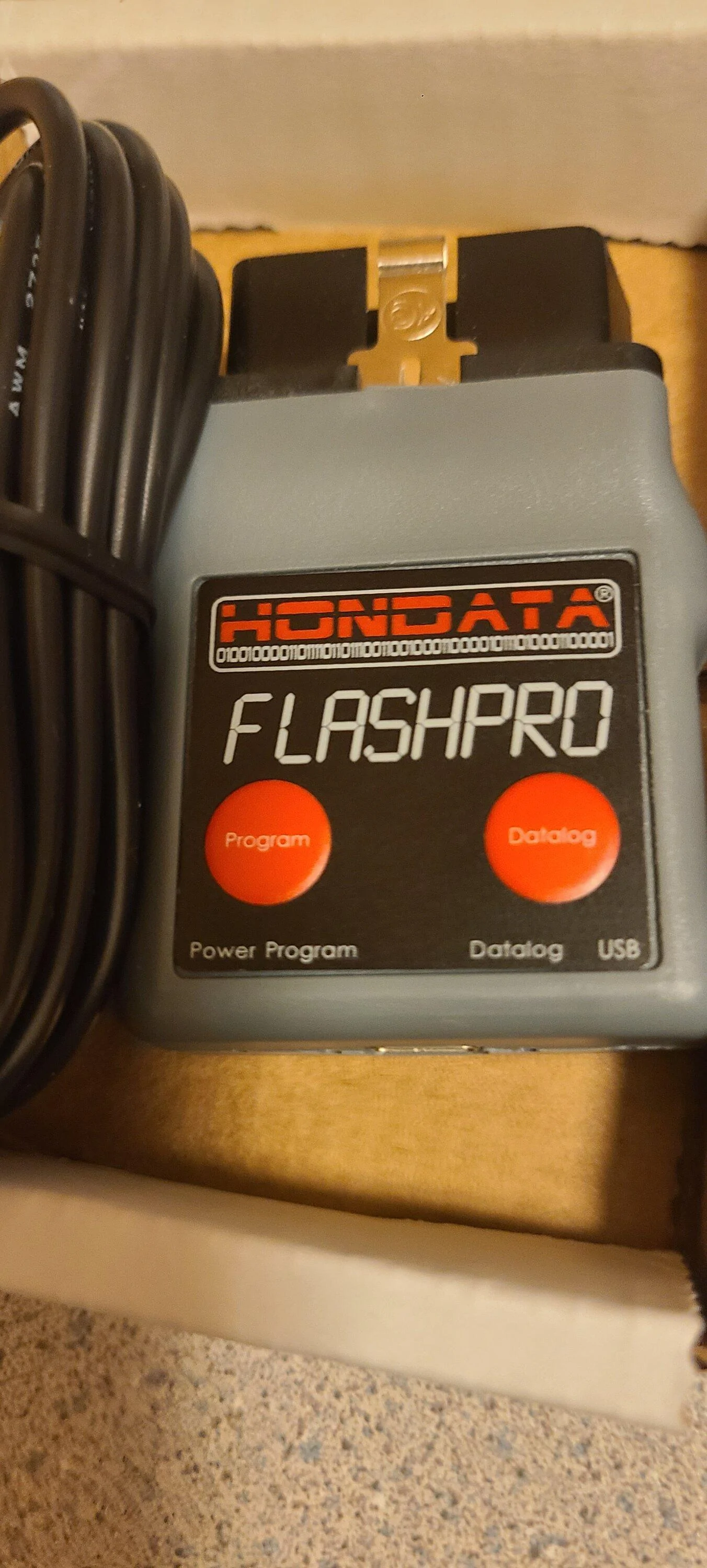 11th Gen Honda Civic OH Boy, Here We Gooooo.... 20240308_181315