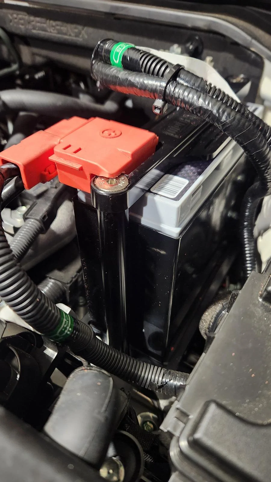 11th Gen Honda Civic 🚀 tezzasaurusrex - Time Attack FL5 Build Journal 20240410_212919