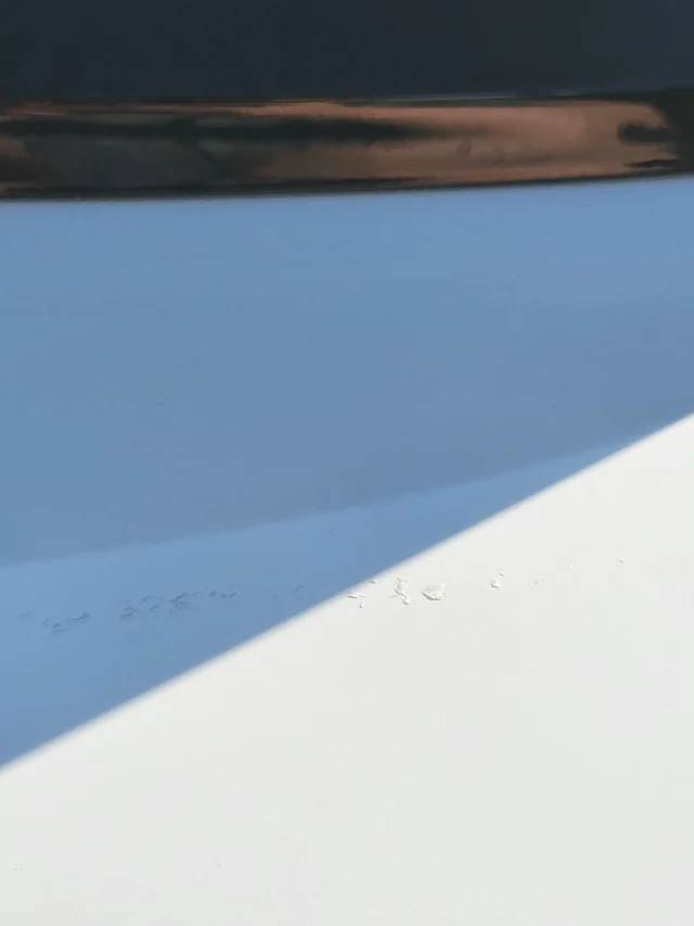 11th Gen Honda Civic Paint issues 20240526-175635