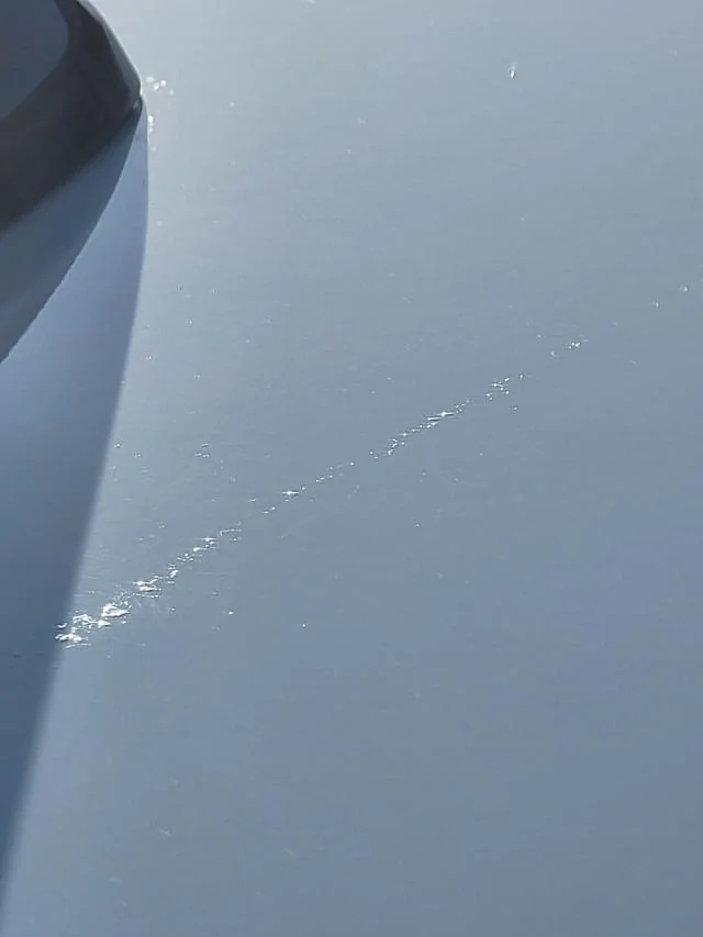 11th Gen Honda Civic Paint issues 20240526-175816