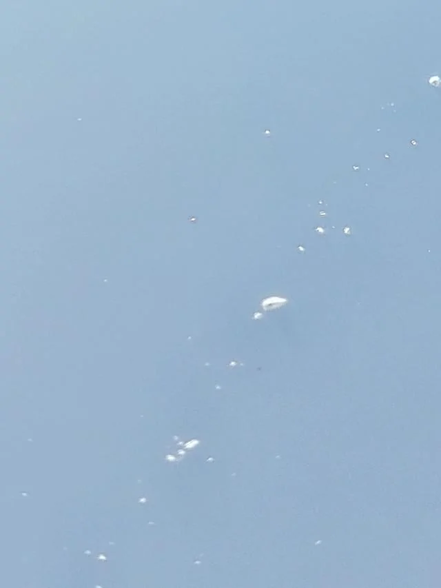 11th Gen Honda Civic Paint issues 20240526-180217