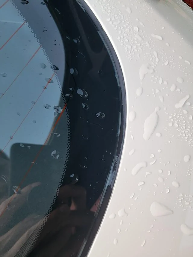 11th Gen Honda Civic Rear hatch seal leak 20240612-193544