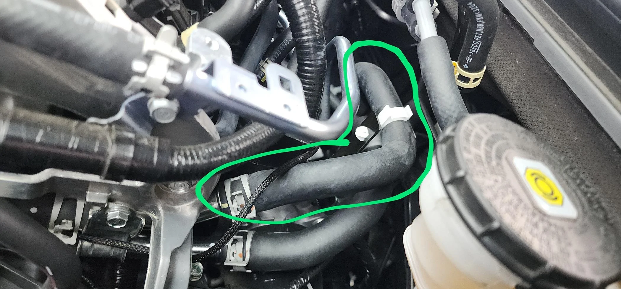 11th Gen Honda Civic FL5 Overheated on Track 20240618_141717~2