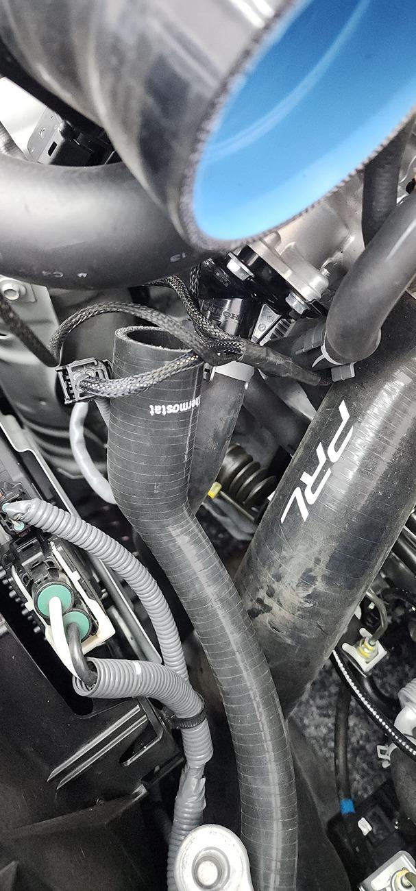 11th Gen Honda Civic Big willow track days and temp issues 20240628_113004