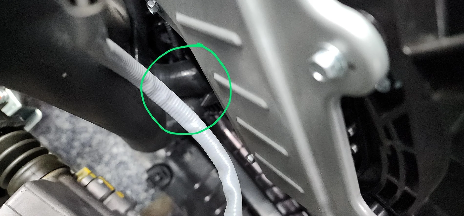 11th Gen Honda Civic Big willow track days and temp issues 20240628_113027~2