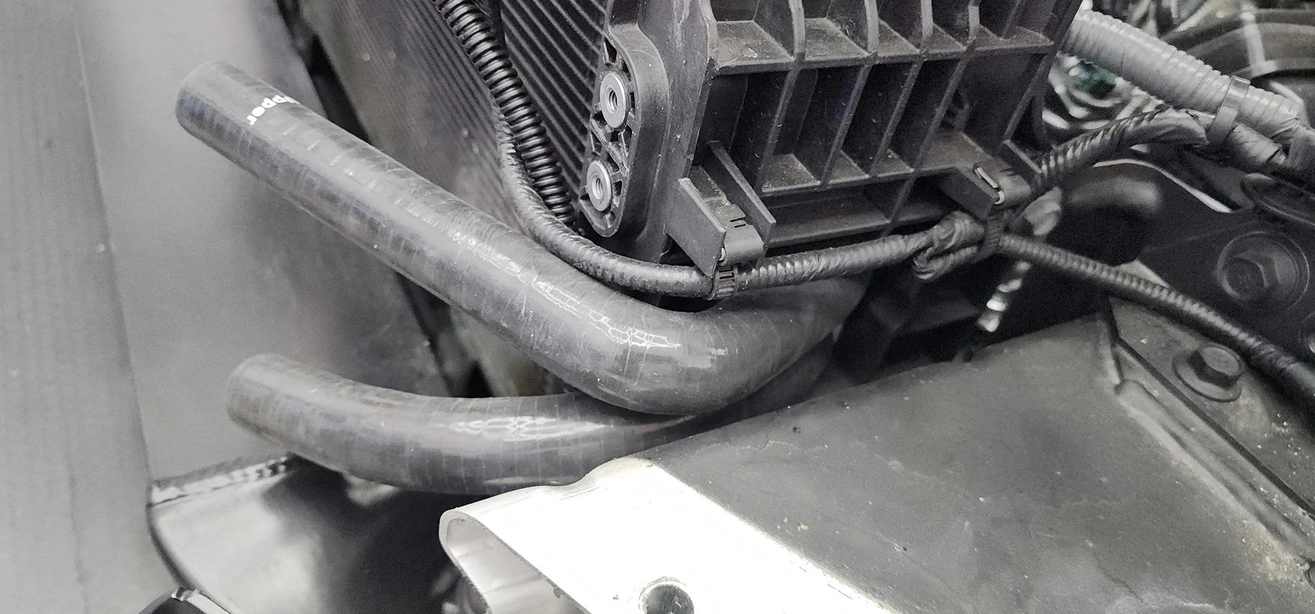 11th Gen Honda Civic Big willow track days and temp issues 20240628_123323