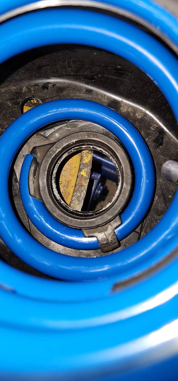 11th Gen Honda Civic Spoon Progressive Springs Installed 2025-02-22 12.49.37