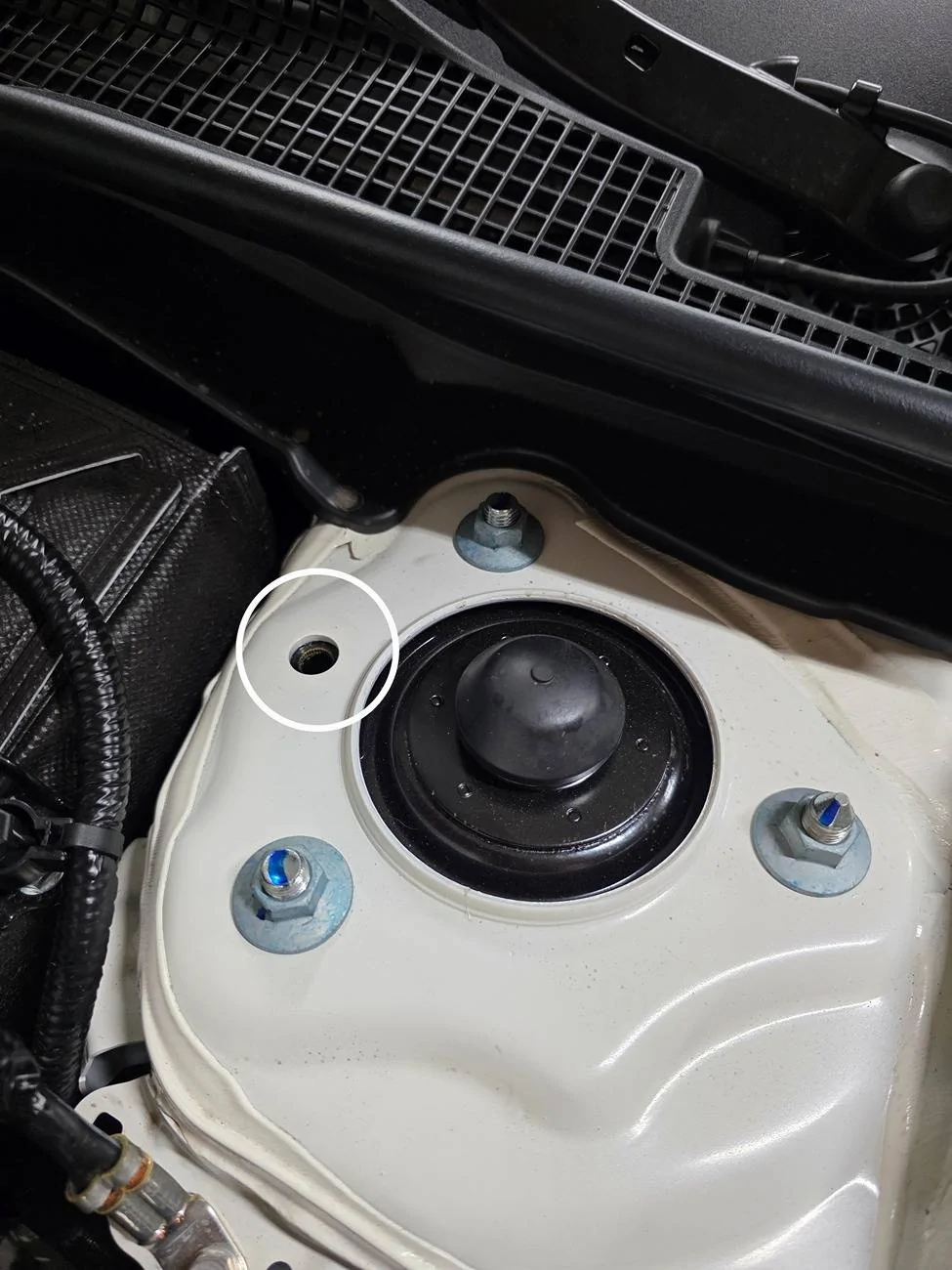 11th Gen Honda Civic Fenrir1's 2025 Civic Type R FL5 CW 20250515_204506