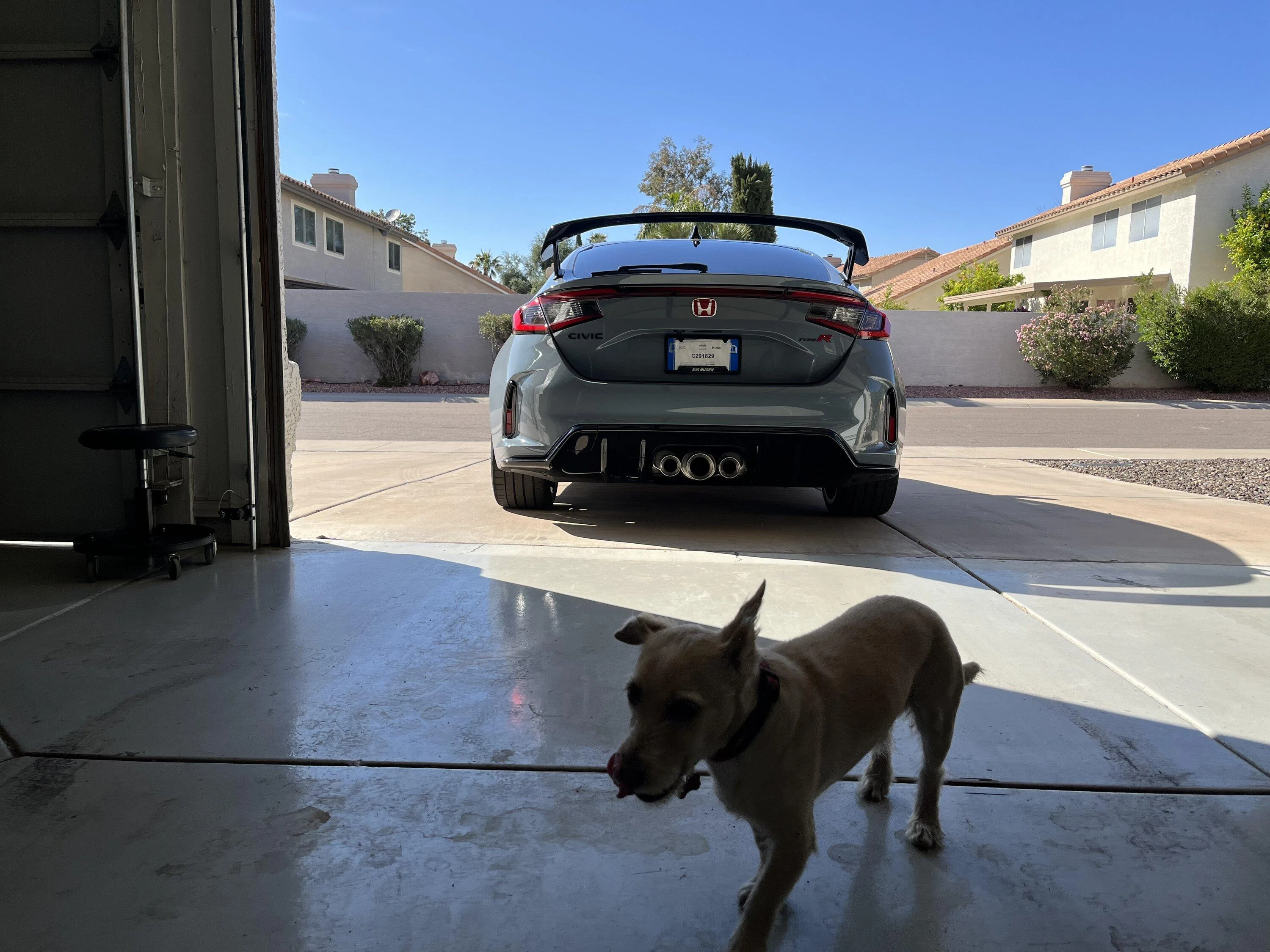 11th Gen Honda Civic Official SONIC GRAY PEARL FL5 Type R Photos Thread 26FDED4B-B5F7-496E-8F52-492C74187637