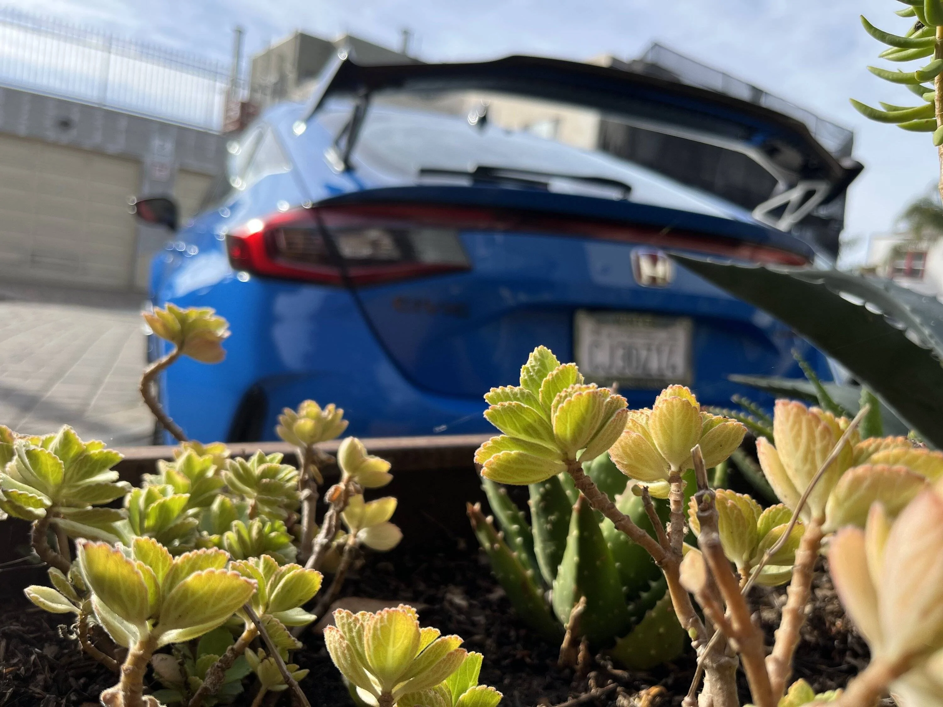 11th Gen Honda Civic Post your FL5 Civic Type R delivery pics! 🙌 📸 32B181C9-C5F3-4548-A766-843789DCC219