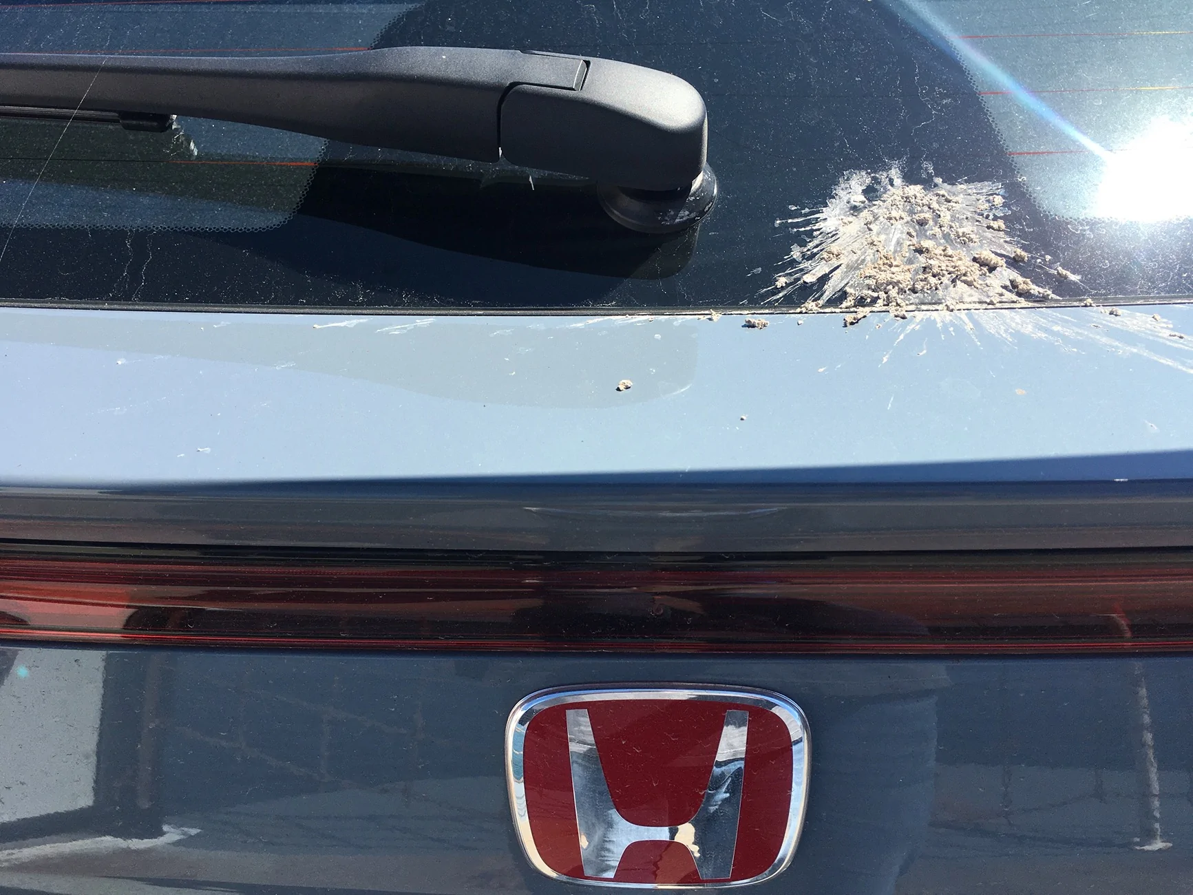 11th Gen Honda Civic What did you haul in your Type R today? 54247BD1-5A61-4610-975C-6B5A27EB94E5