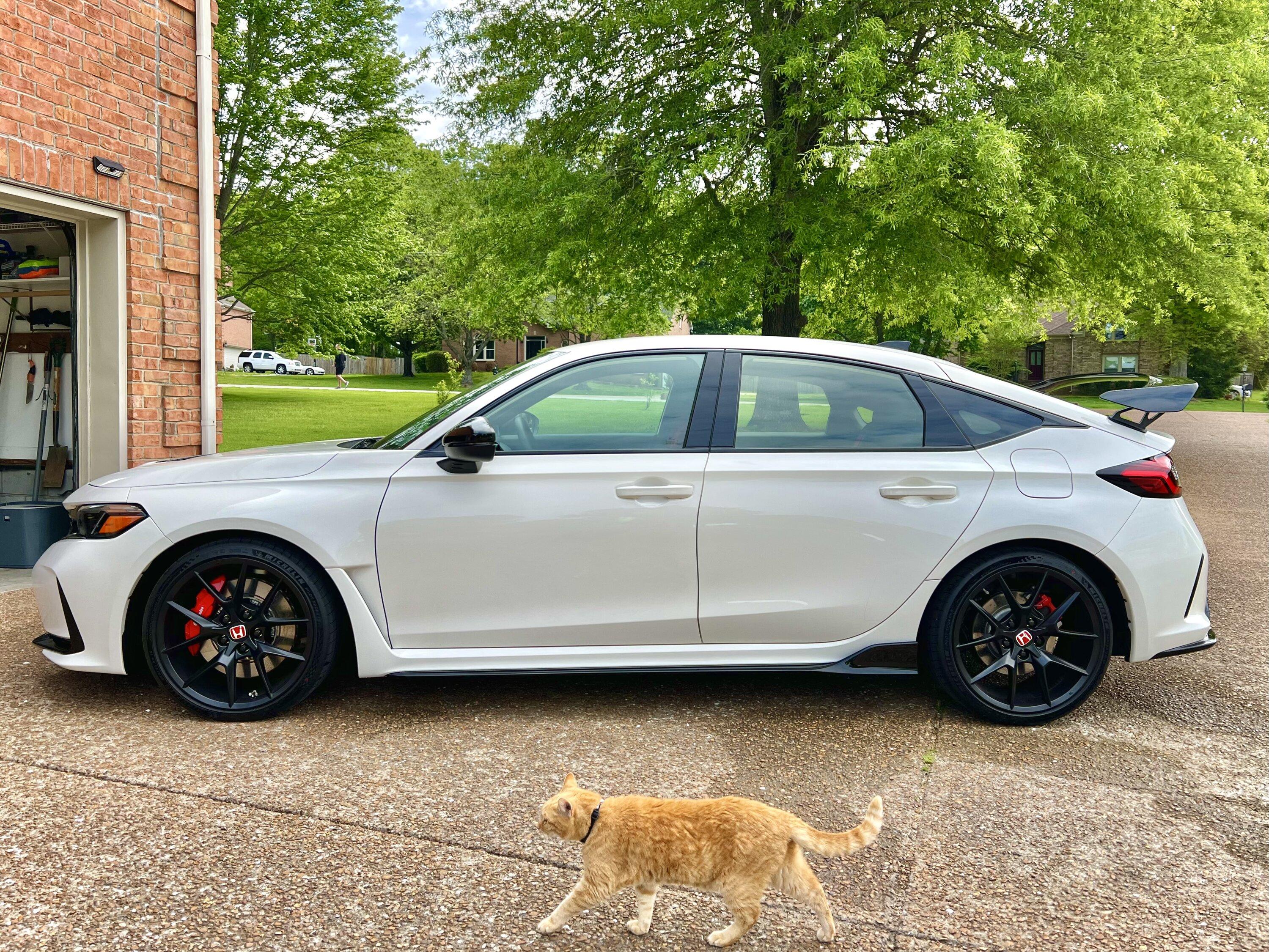 11th Gen Honda Civic Rchive- An FL5 ownership journal 70421272038__C0567744-9418-400F-85C5-A05337A50D5C