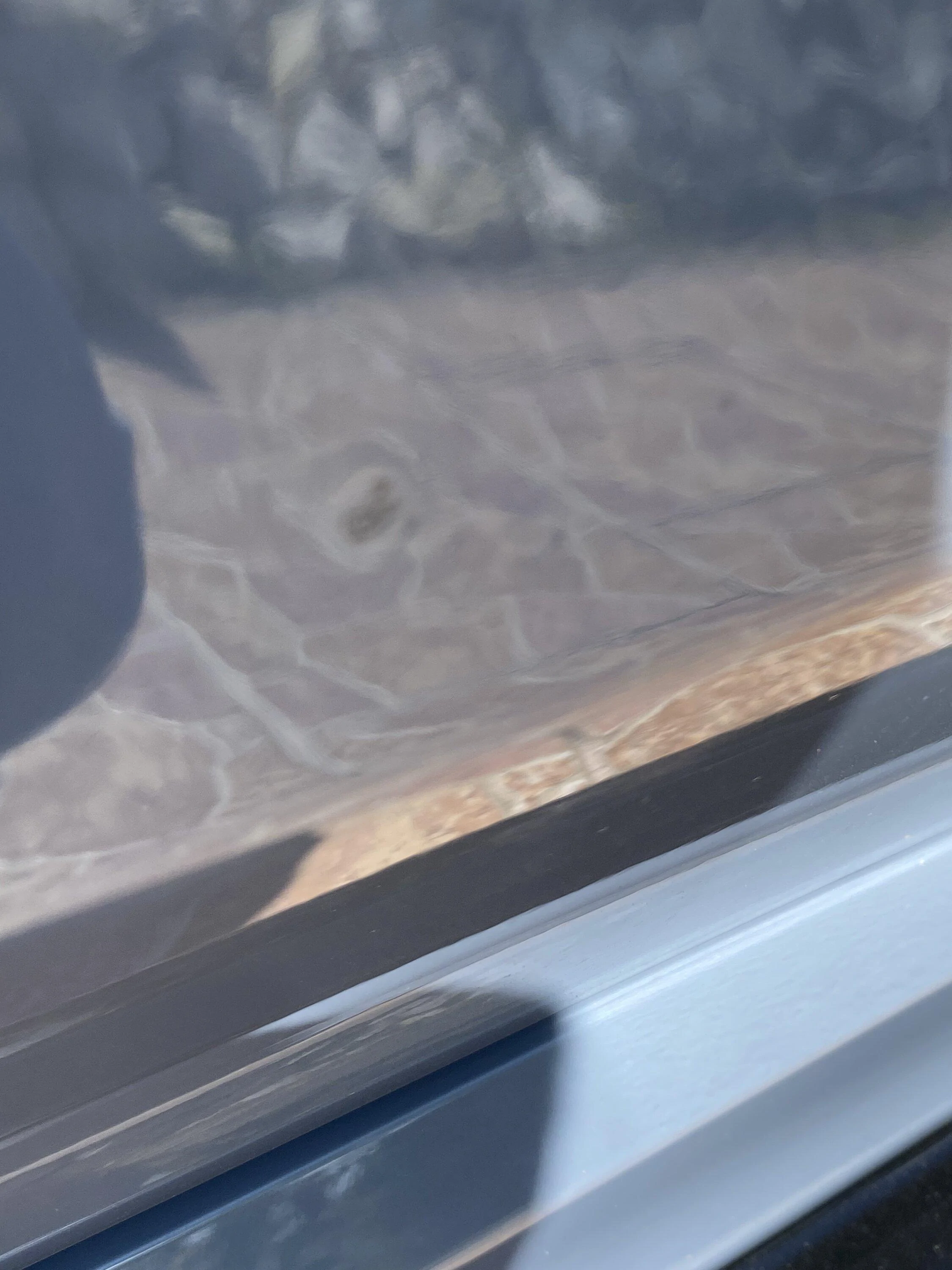 11th Gen Honda Civic Chips in the paint consecuense of landscaping. A05E856C-DF81-48A5-B198-5E2F9D0C232B