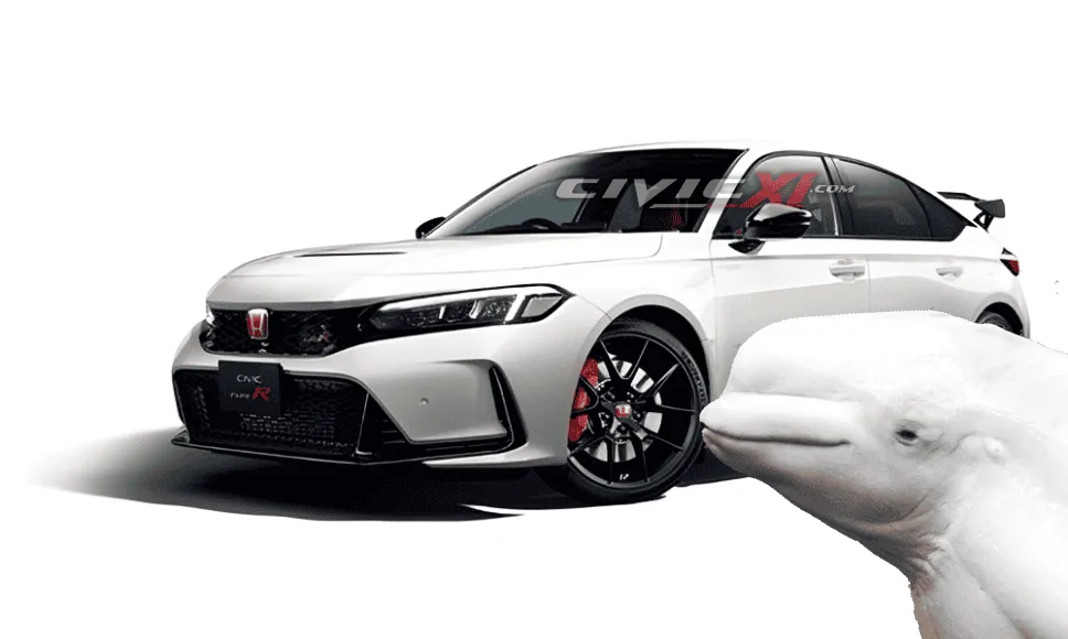 11th Gen Honda Civic 2023 Civic Type R Waitlist / Deposit / Reservations List - Check in here! Adobe_Express_20220821_1042250.5436866946547256