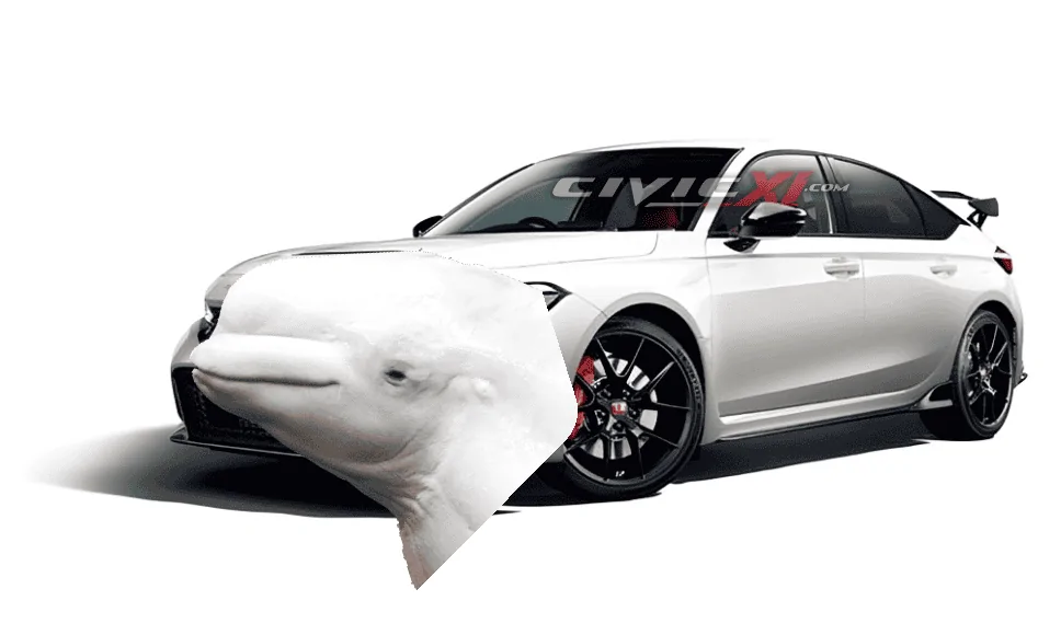 11th Gen Honda Civic FL5 and FK8 Civic Type R Comparison Side-by-Side Look Adobe_Express_20220821_1043510.2530385178530197