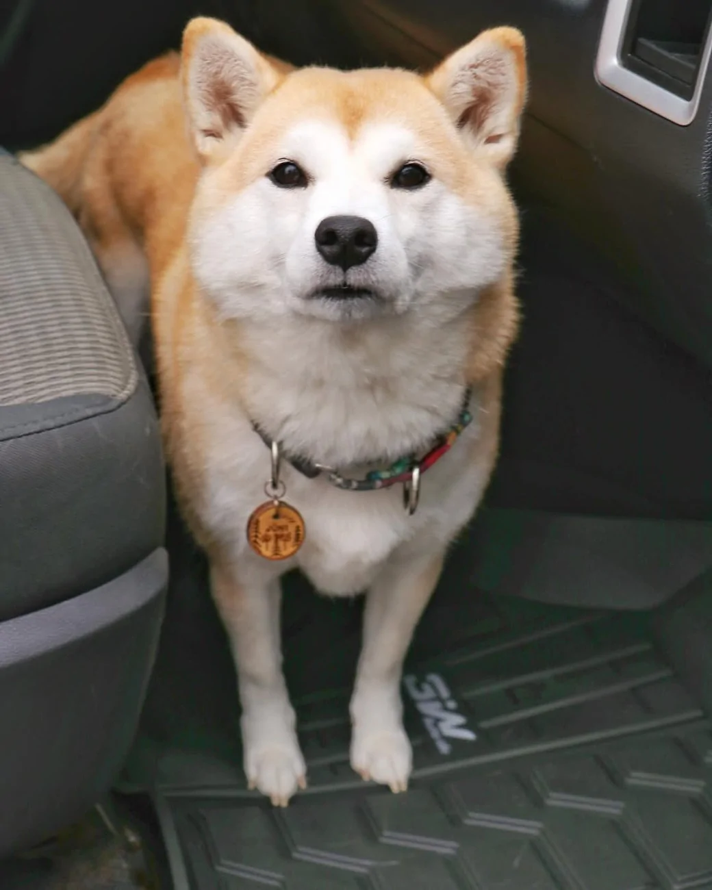 akira_and_juni (3).webp