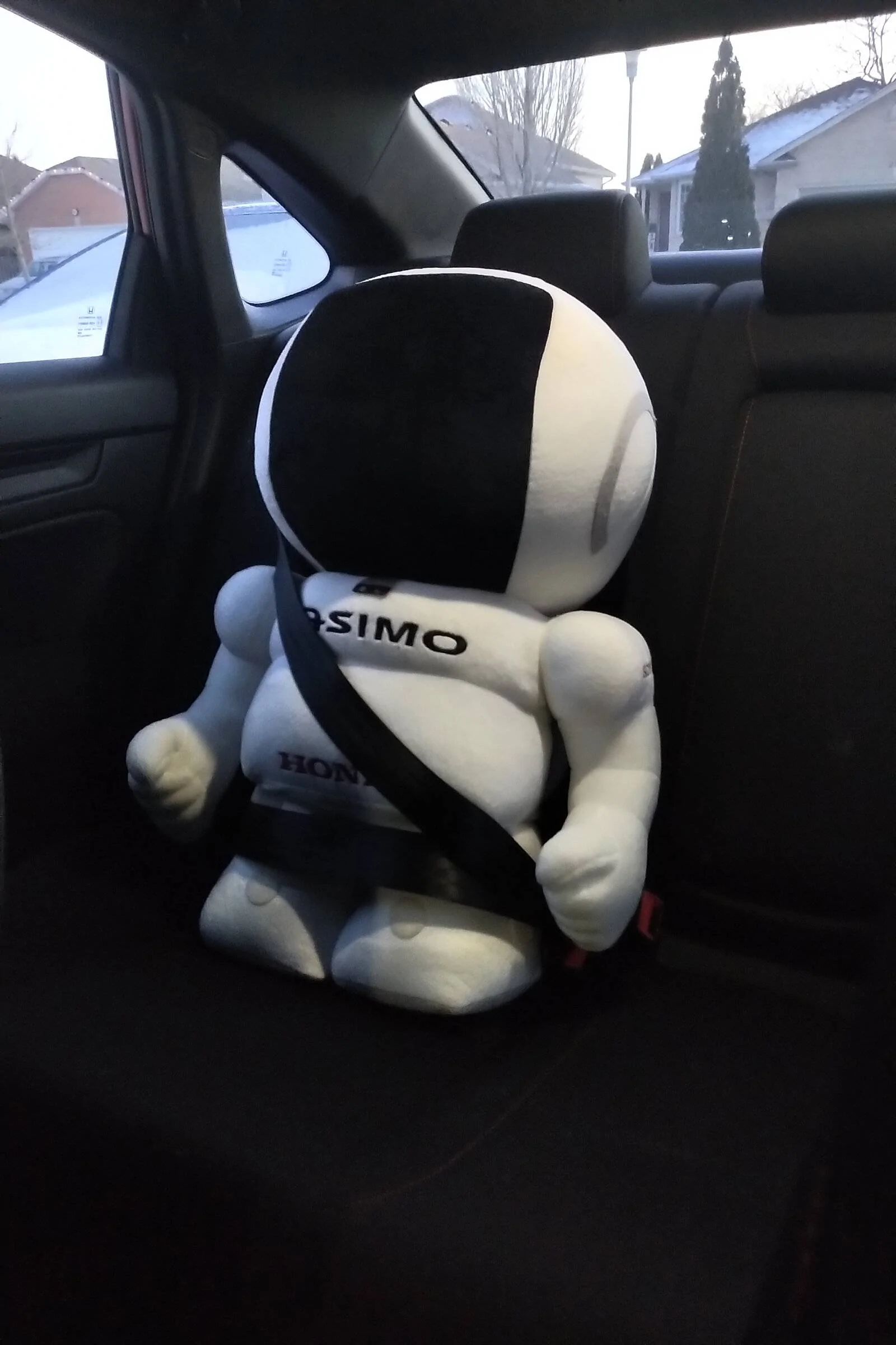 11th Gen Honda Civic Decals and Emblems on My 2022 Si asimopassenger