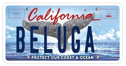 11th Gen Honda Civic 2023 Civic Type R Waitlist / Deposit / Reservations List - Check in here! beluga