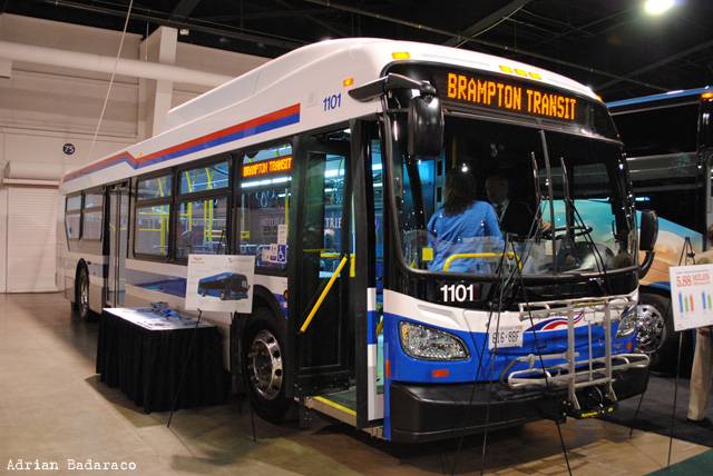 11th Gen Honda Civic Backup plans - what's yours? Brampton_Transit_1101-a