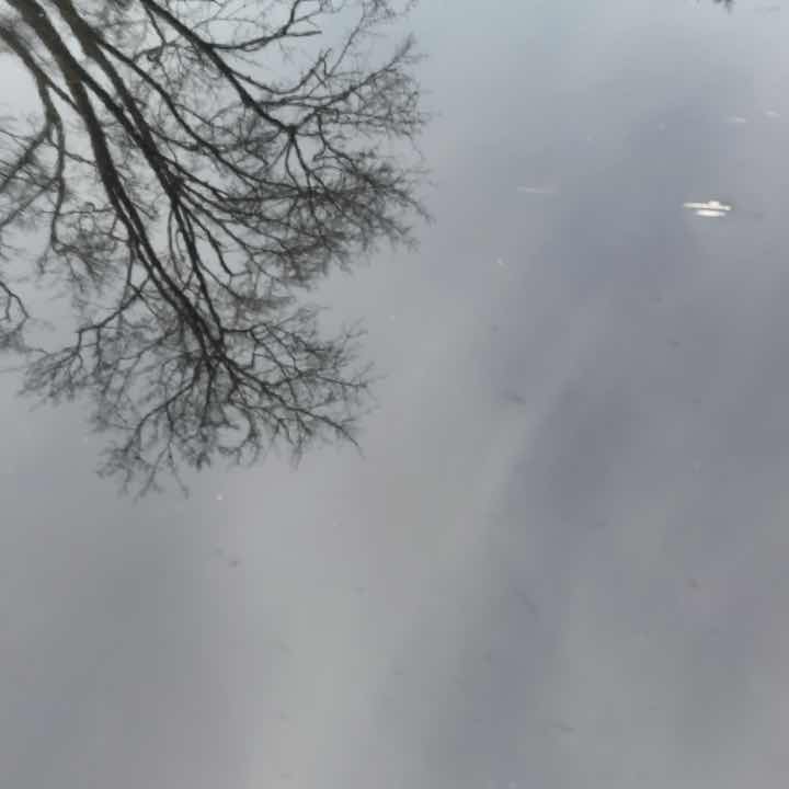 11th Gen Honda Civic Got hit by a big rock on the freeway last week civicdamage4