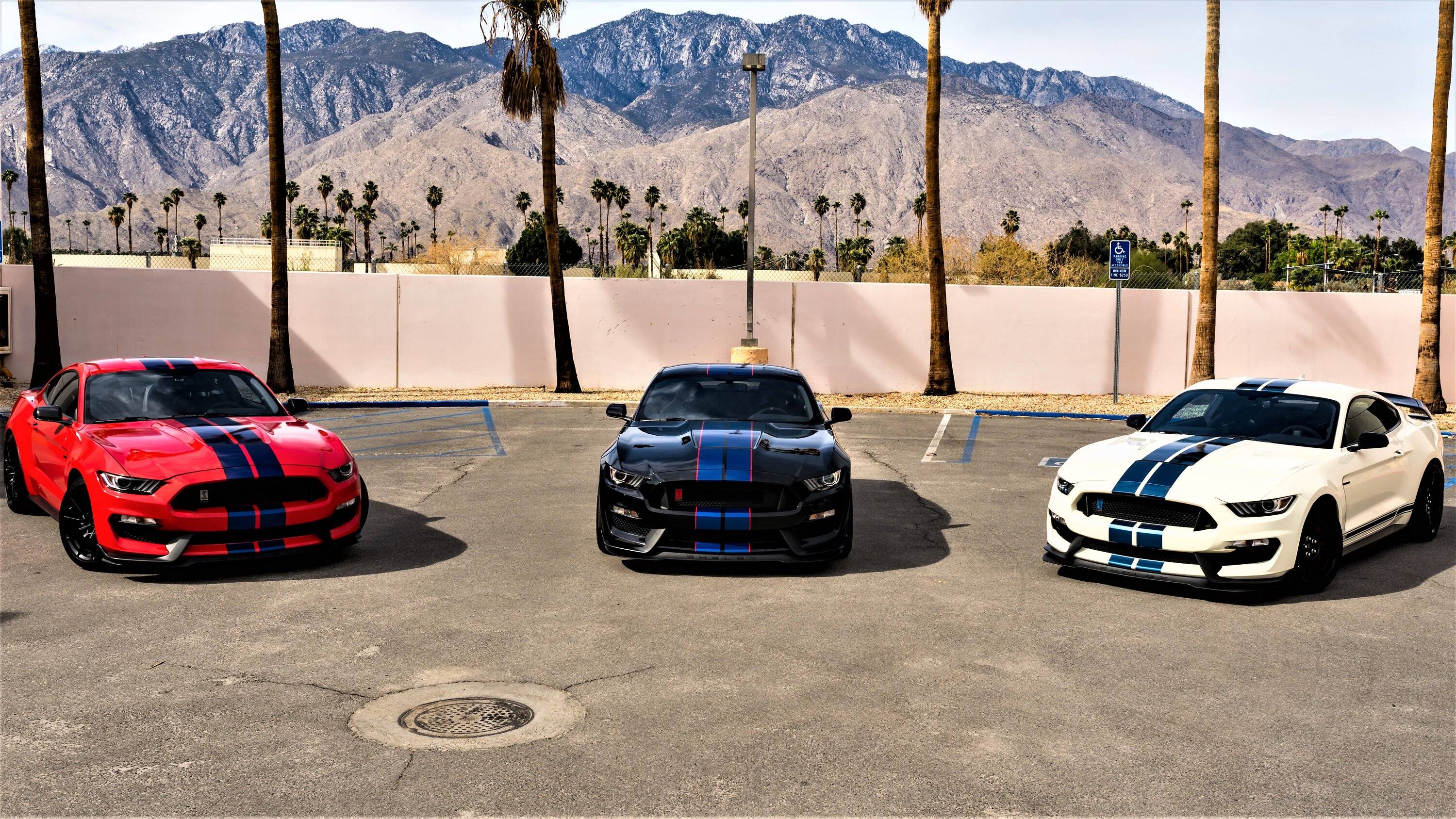 11th Gen Honda Civic 2023 Civic Type R (FL5) U.S. Pricing: $42,895 MSRP DSC04878 (2)