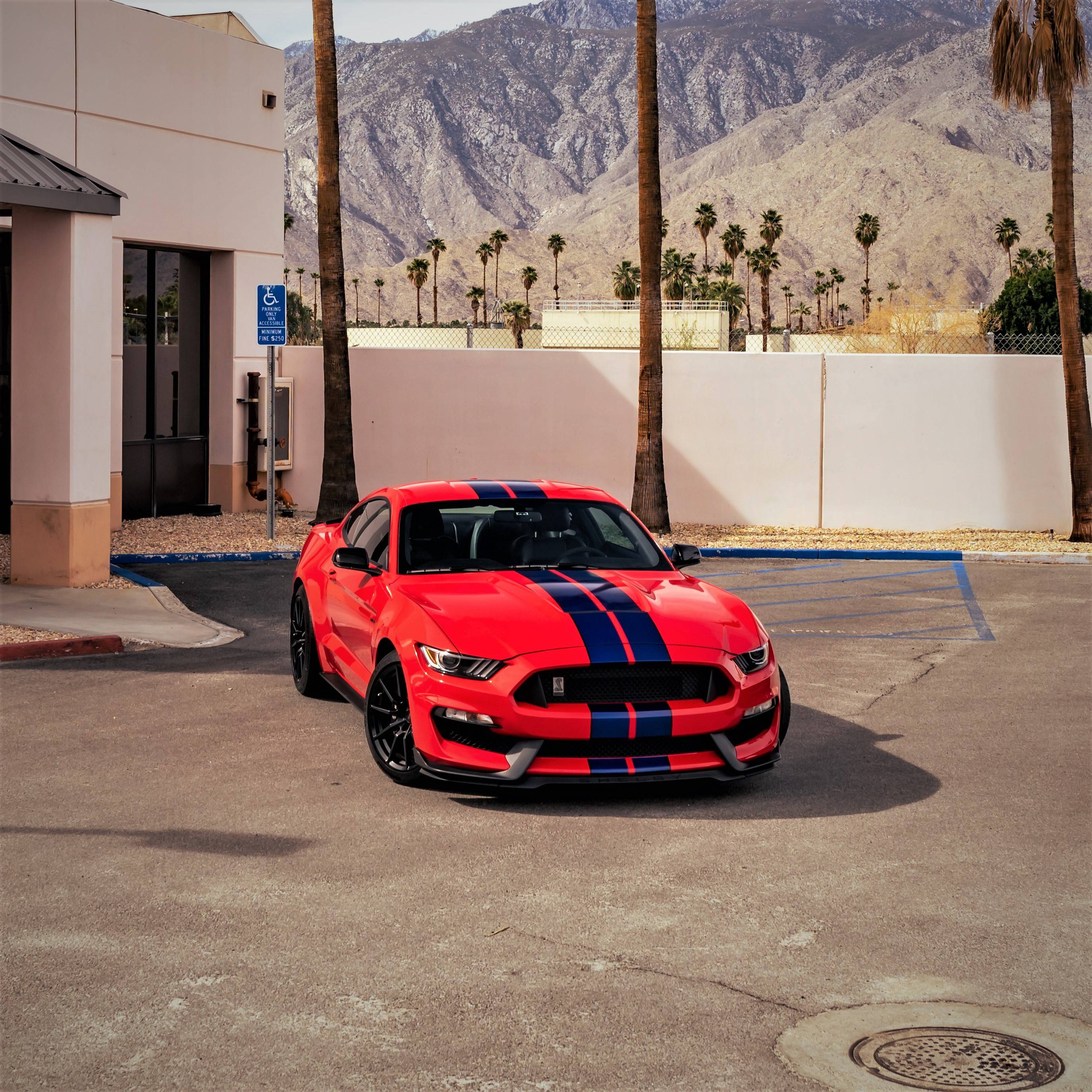11th Gen Honda Civic Michelin Sport Cup 2 Tires DSC04882 (3)