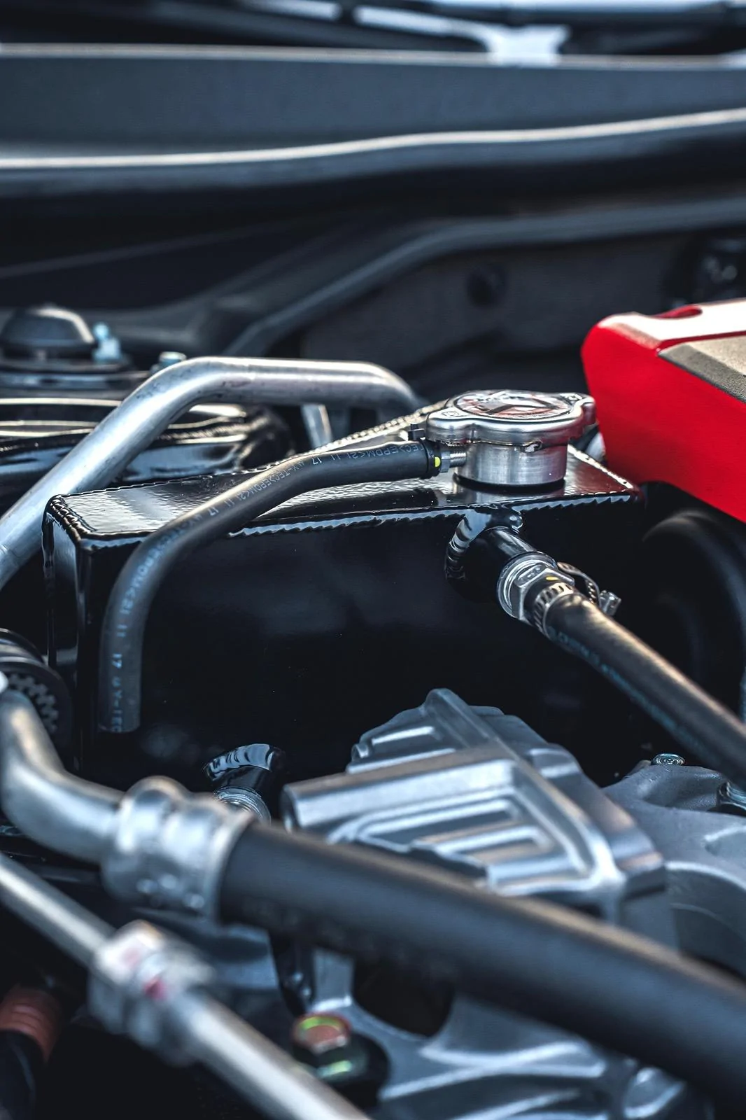 11th Gen Honda Civic ItsMeNickG’s Black Beauty FL5 Build DSC07416