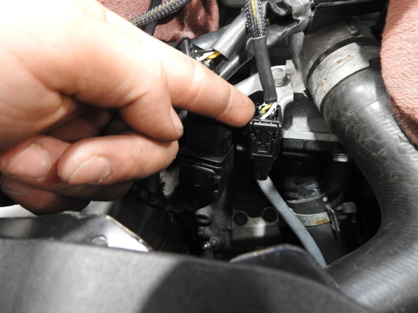 11th Gen Honda Civic PRL Motorsports 2017+ Honda Civic Type-R FK8 Plug ‘N Play Flex Fuel Kit Install Guide DSCN7689_zps3cwxvx4f