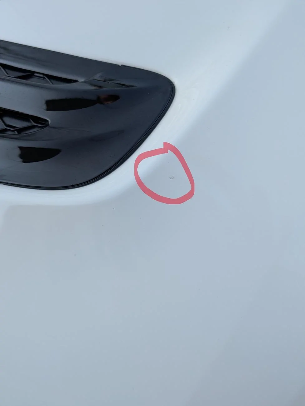 11th Gen Honda Civic New 24 CTR Factory Paint Defect? hood area issue 1