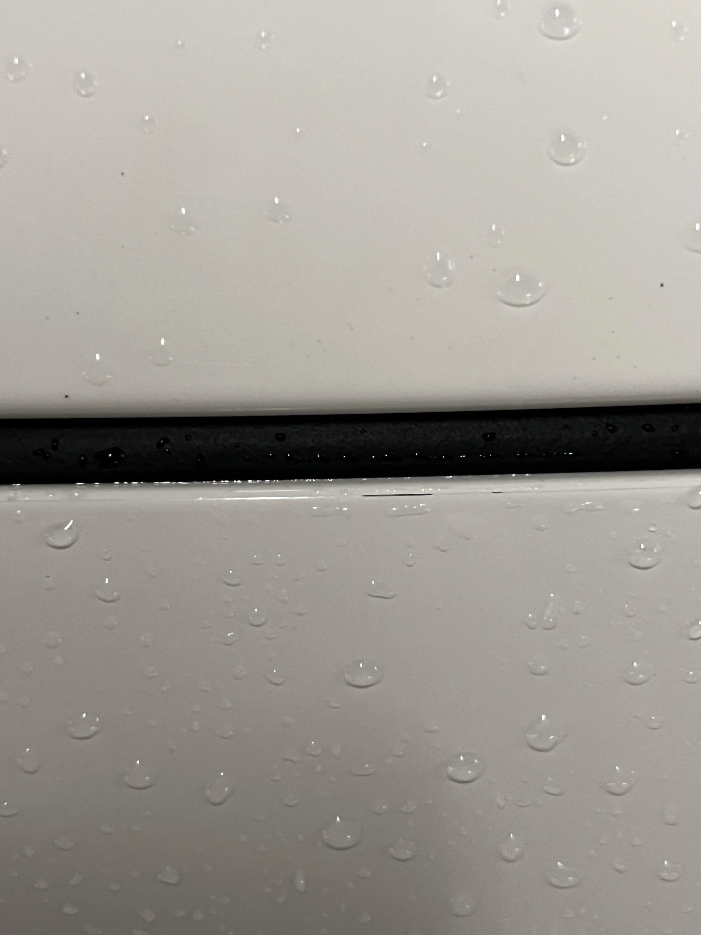 11th Gen Honda Civic FL5 Paint Quality image1