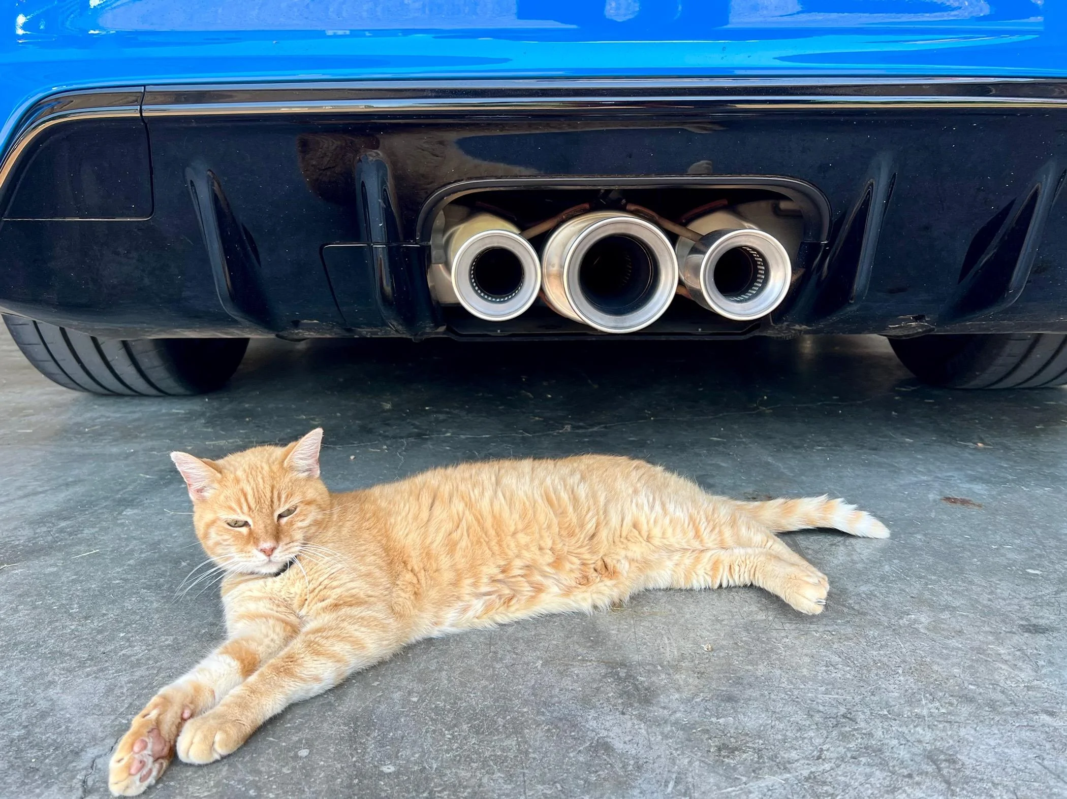 11th Gen Honda Civic Rchive- An FL5 ownership journal IMG_0040