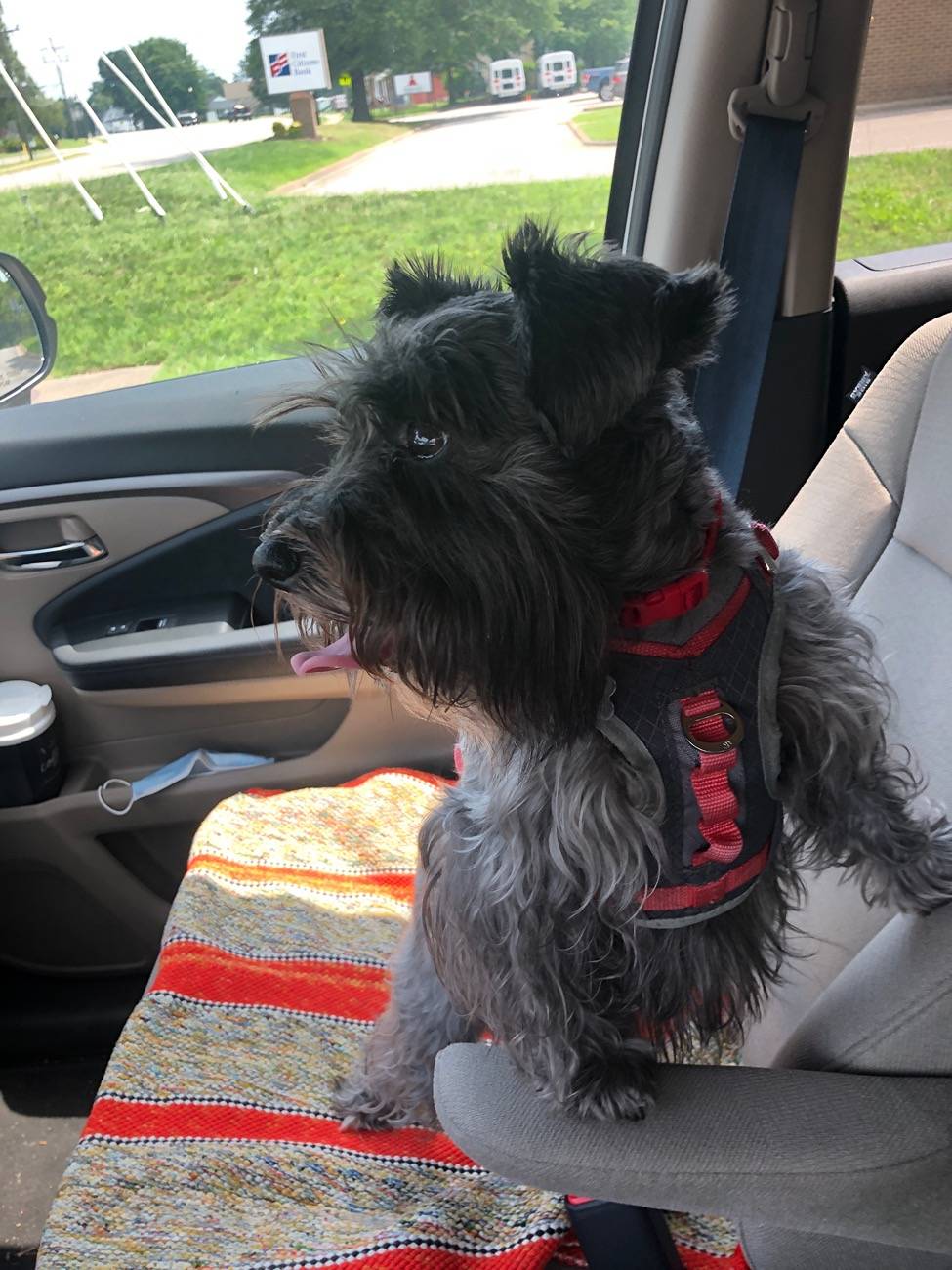 11th Gen Honda Civic Sporky SideGrades Texas FL5 Type R IMG_0217