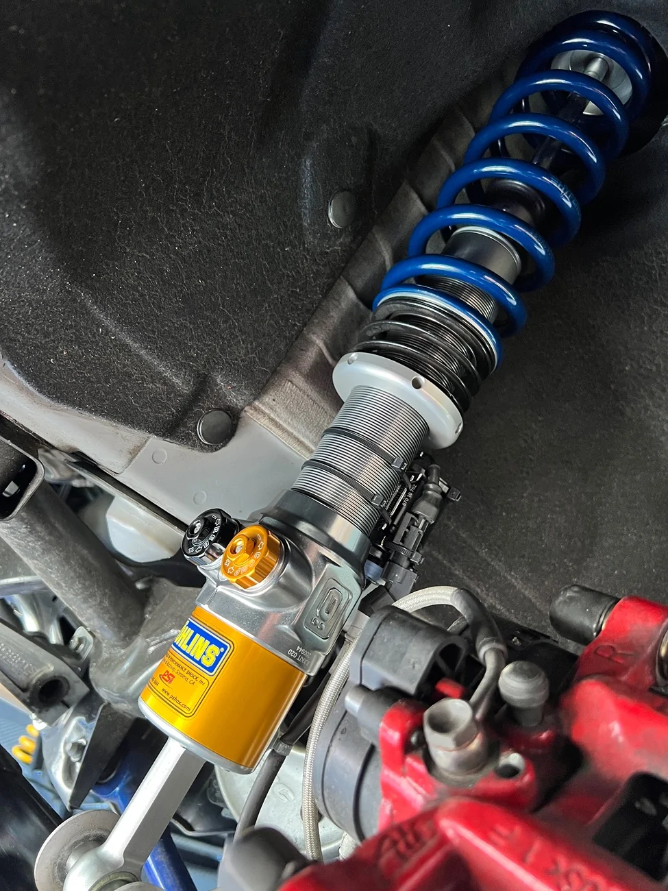 11th Gen Honda Civic Custom Ohlins TTX coilovers custom prototype for my FL5 IMG_0323