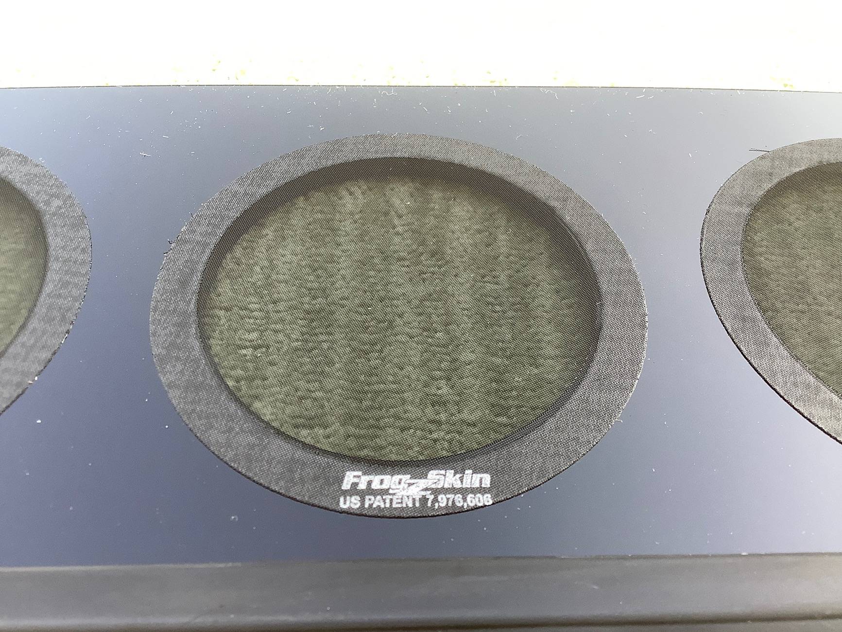 11th Gen Honda Civic Sporky SideGrades Texas FL5 Type R IMG_0406