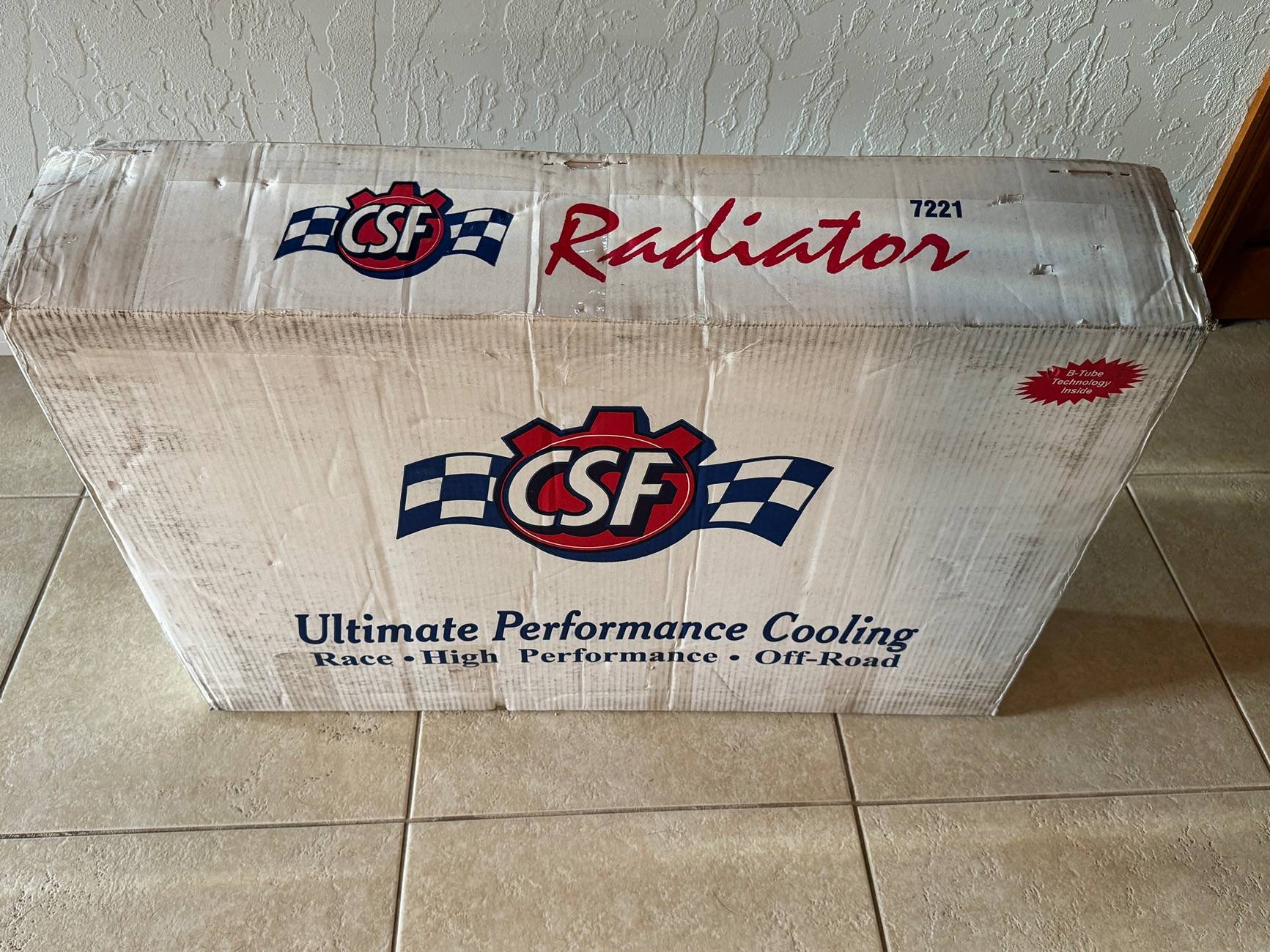 11th Gen Honda Civic 2023 Championship White FL5 - “Candy” aka Bad Panda IMG_0512