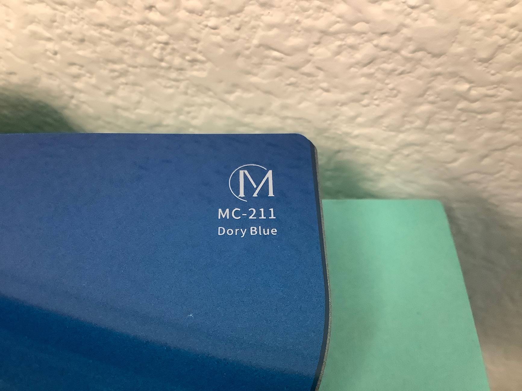 11th Gen Honda Civic Sporky SideGrades Texas FL5 Type R IMG_0573