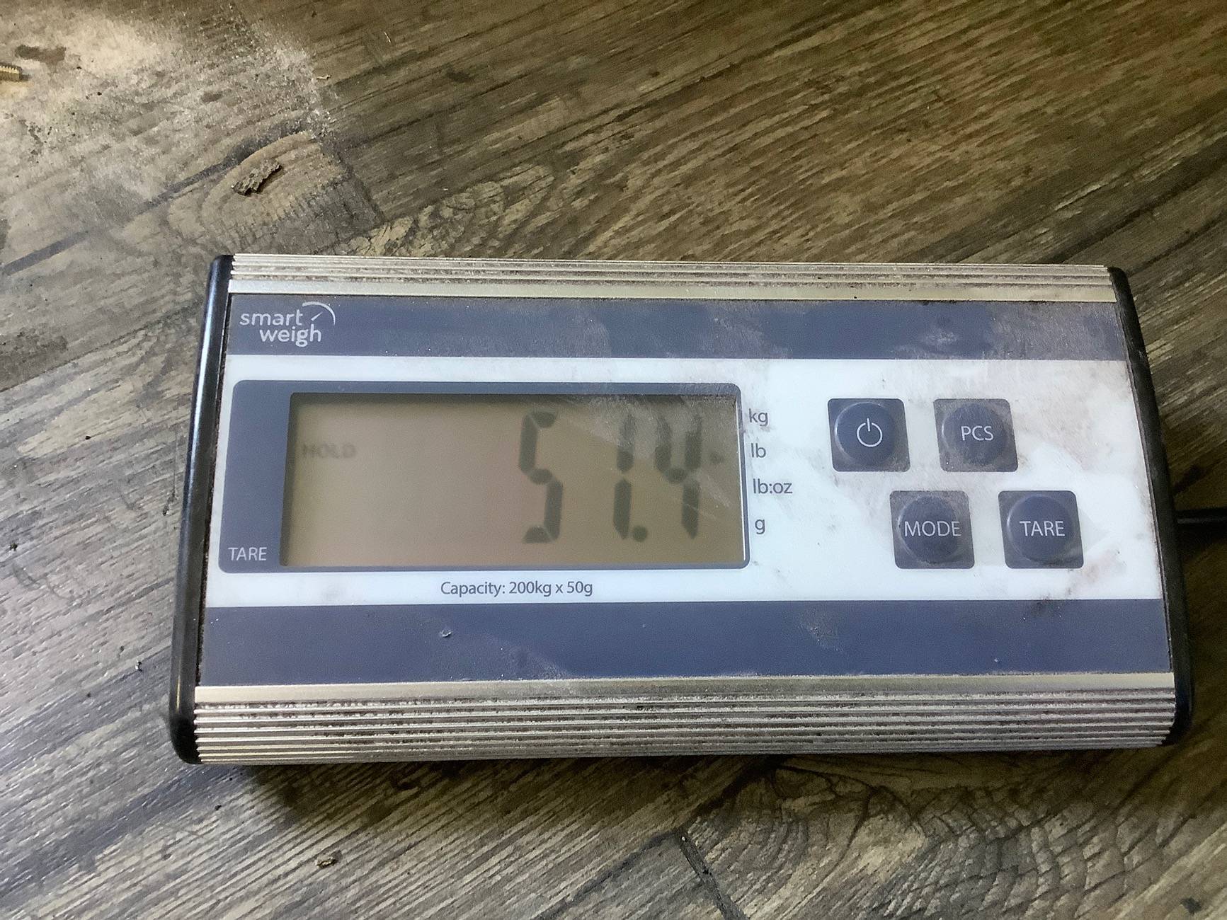 11th Gen Honda Civic Sporky SideGrades Texas FL5 Type R IMG_0604