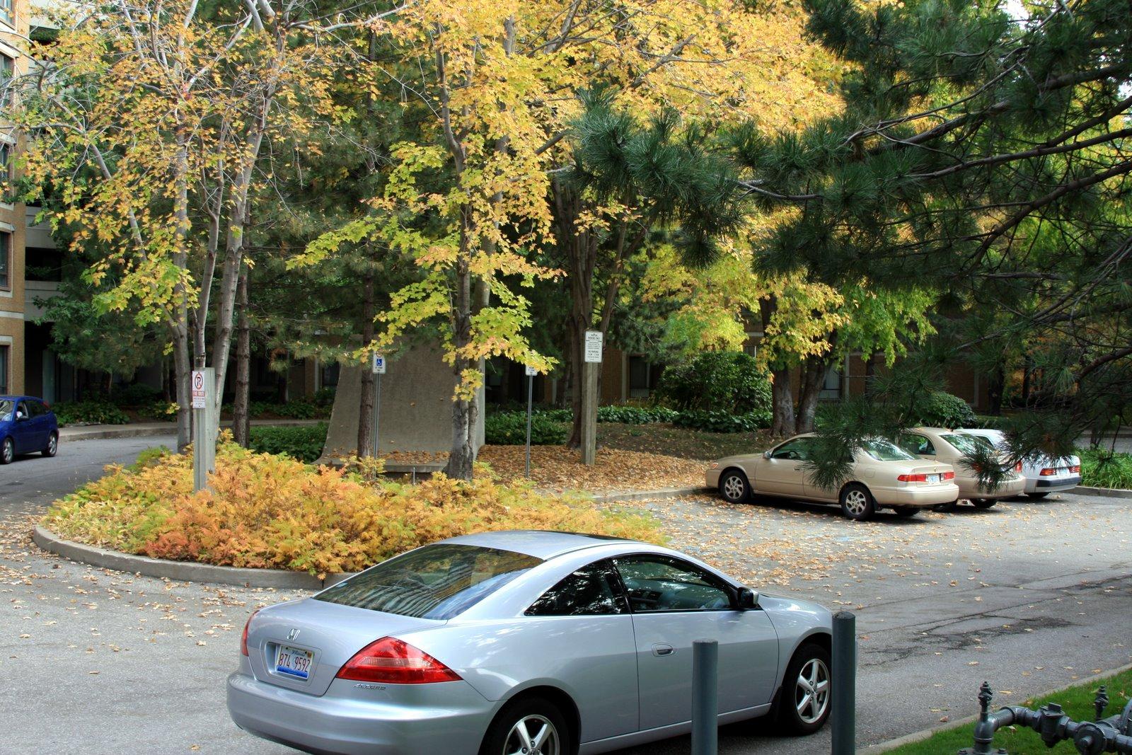 11th Gen Honda Civic 2023 Championship White FL5 - “Candy” aka Bad Panda IMG_0701
