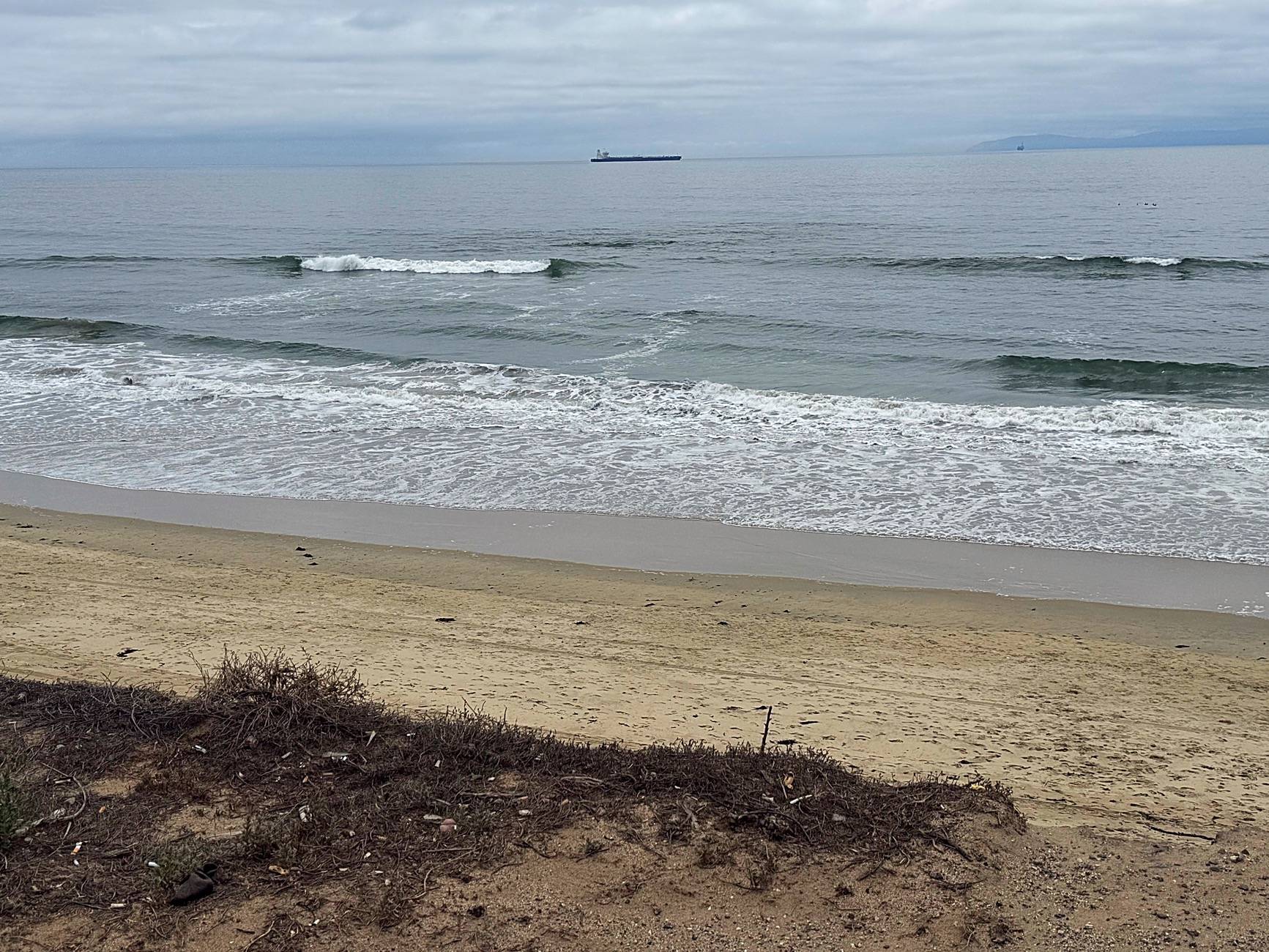 11th Gen Honda Civic What did you do to your FL5 today? IMG_0855