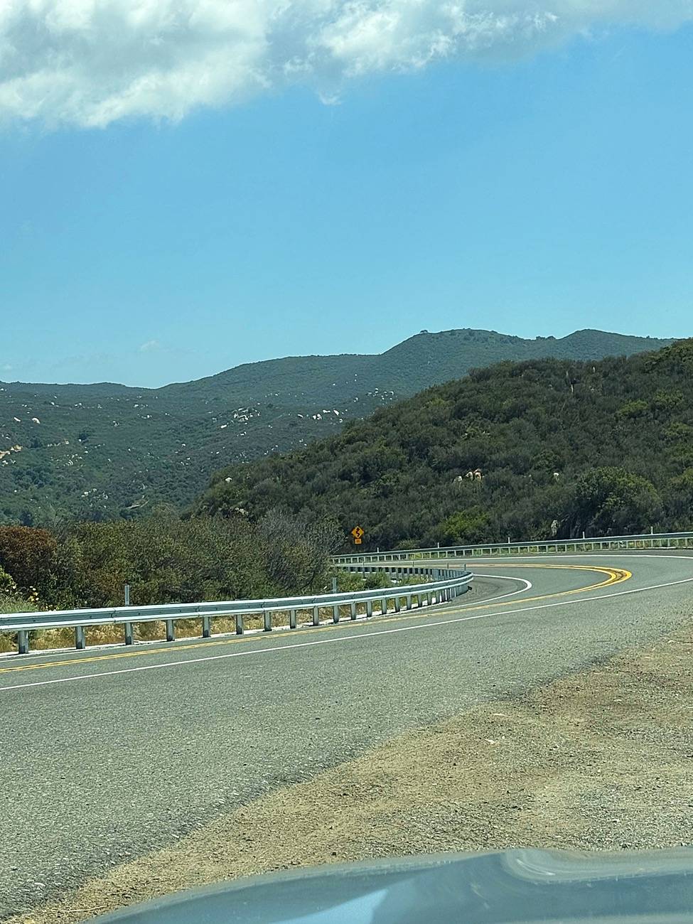 11th Gen Honda Civic What did you do to your FL5 today? IMG_0906